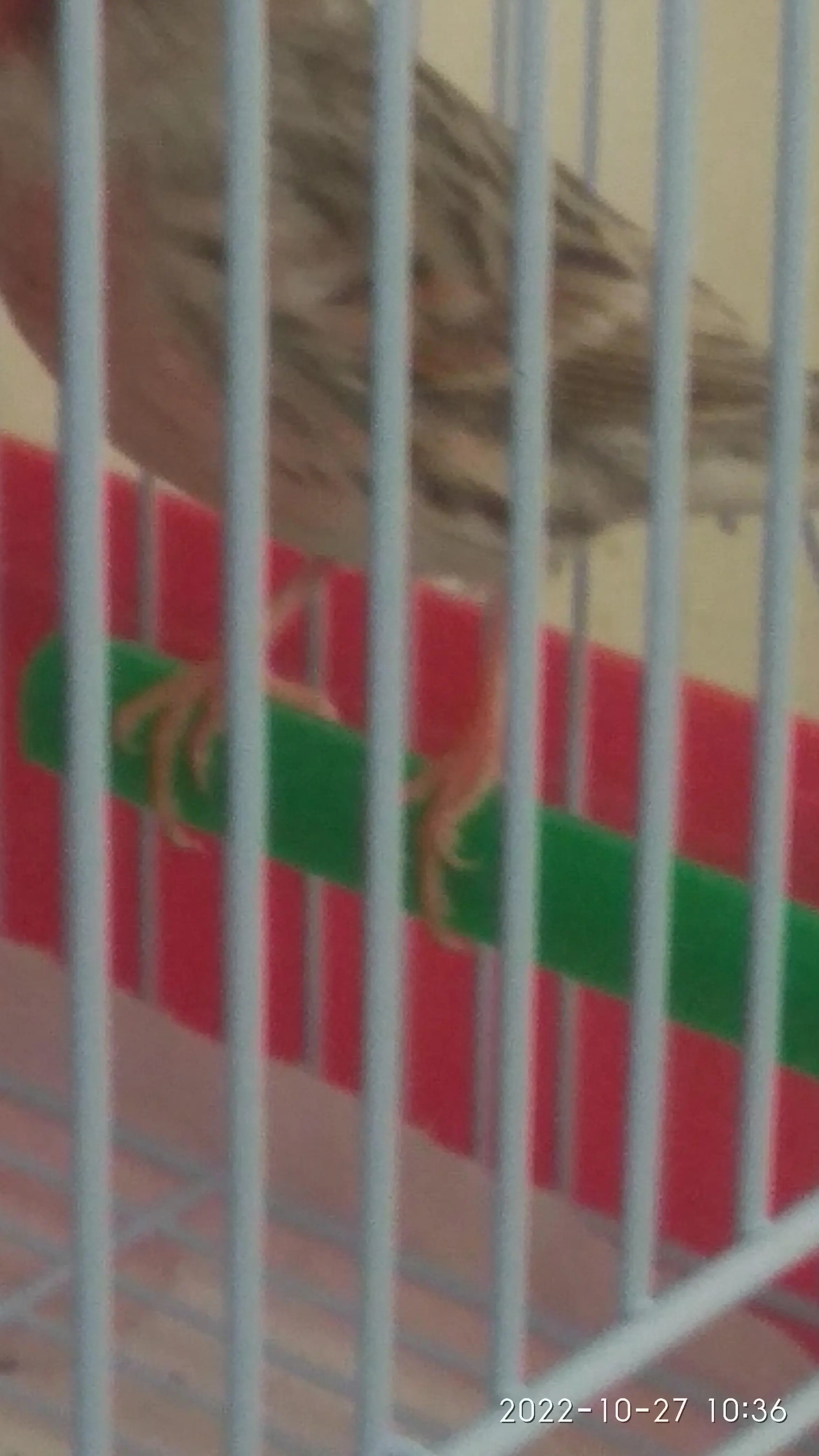 Συνημμένη εικόνα 92046