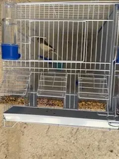 Συνημμένη εικόνα 92249