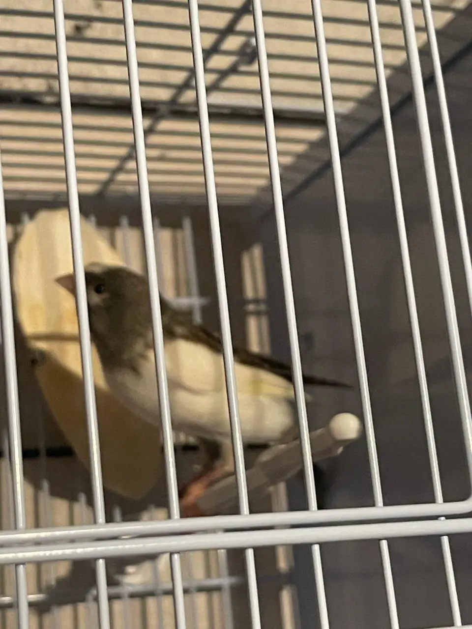 Συνημμένη εικόνα 92266