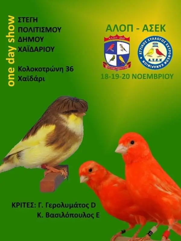 Συνημμένη εικόνα 92382
