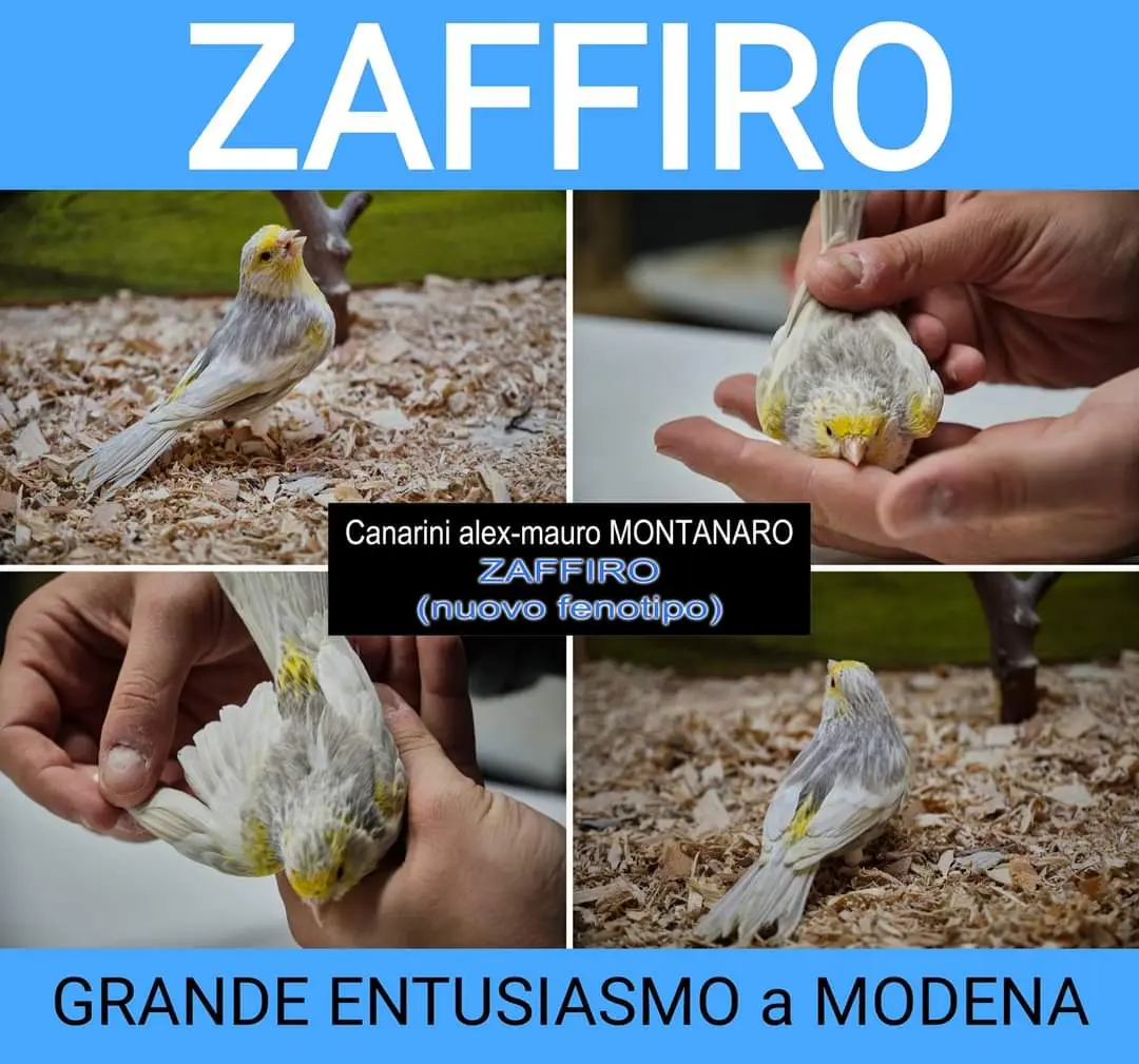 Συνημμένη εικόνα 92523