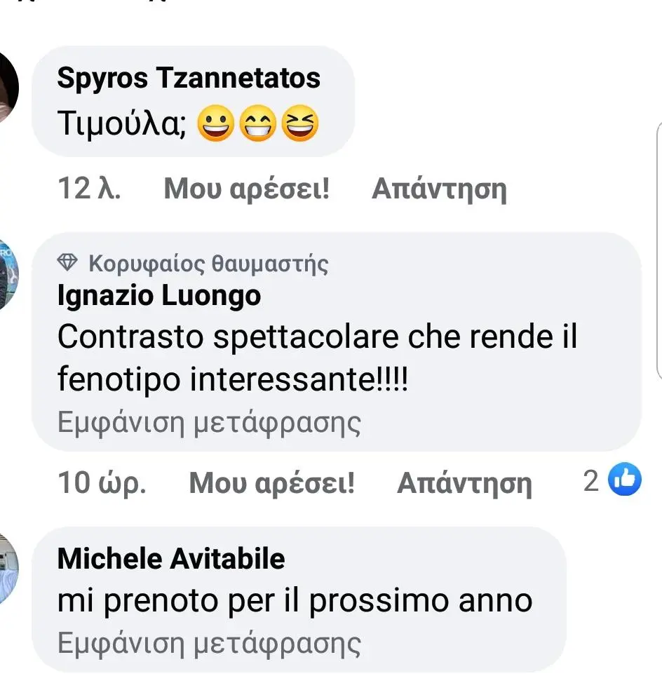 Συνημμένη εικόνα 92524