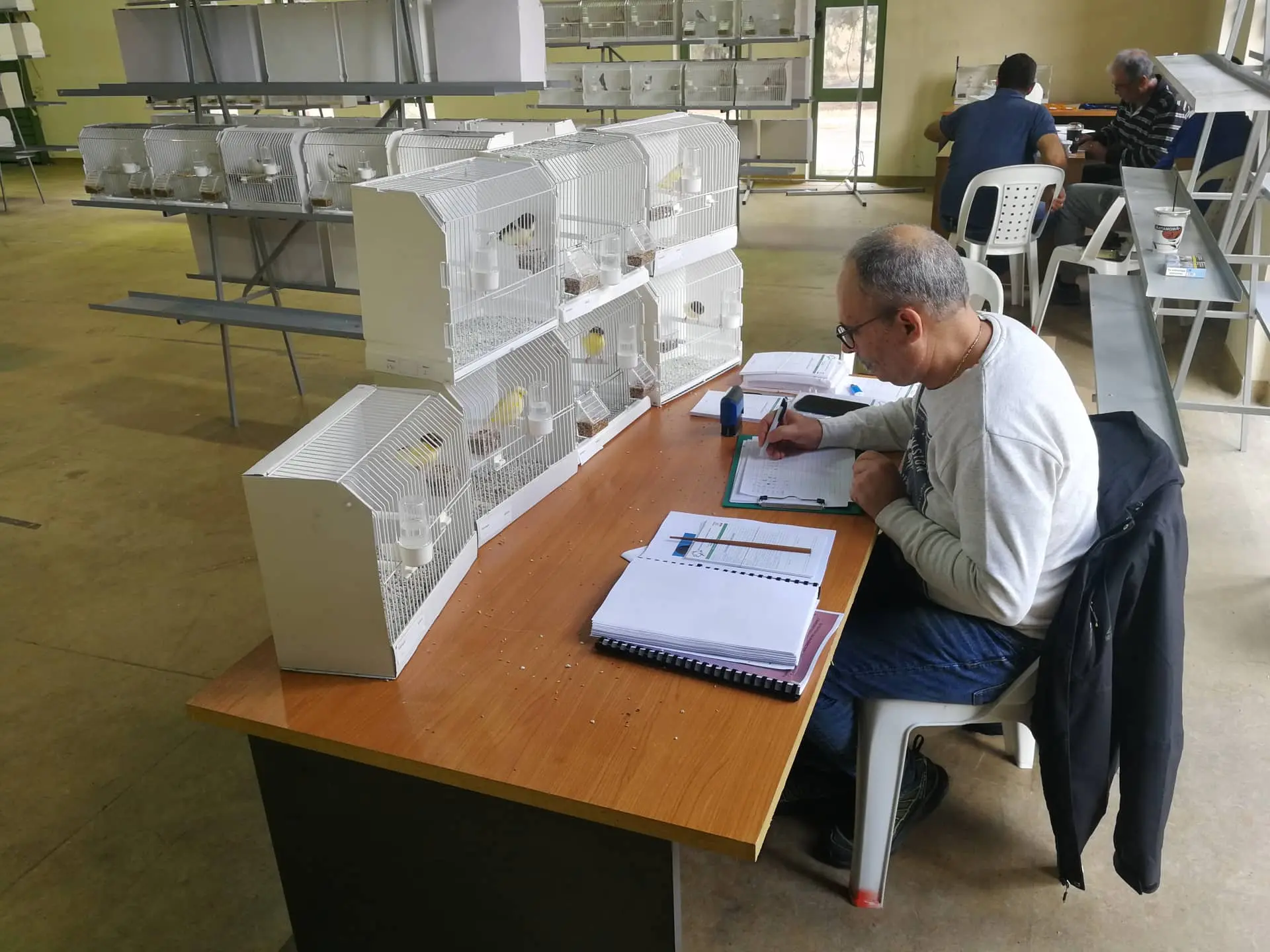 Συνημμένη εικόνα 92584