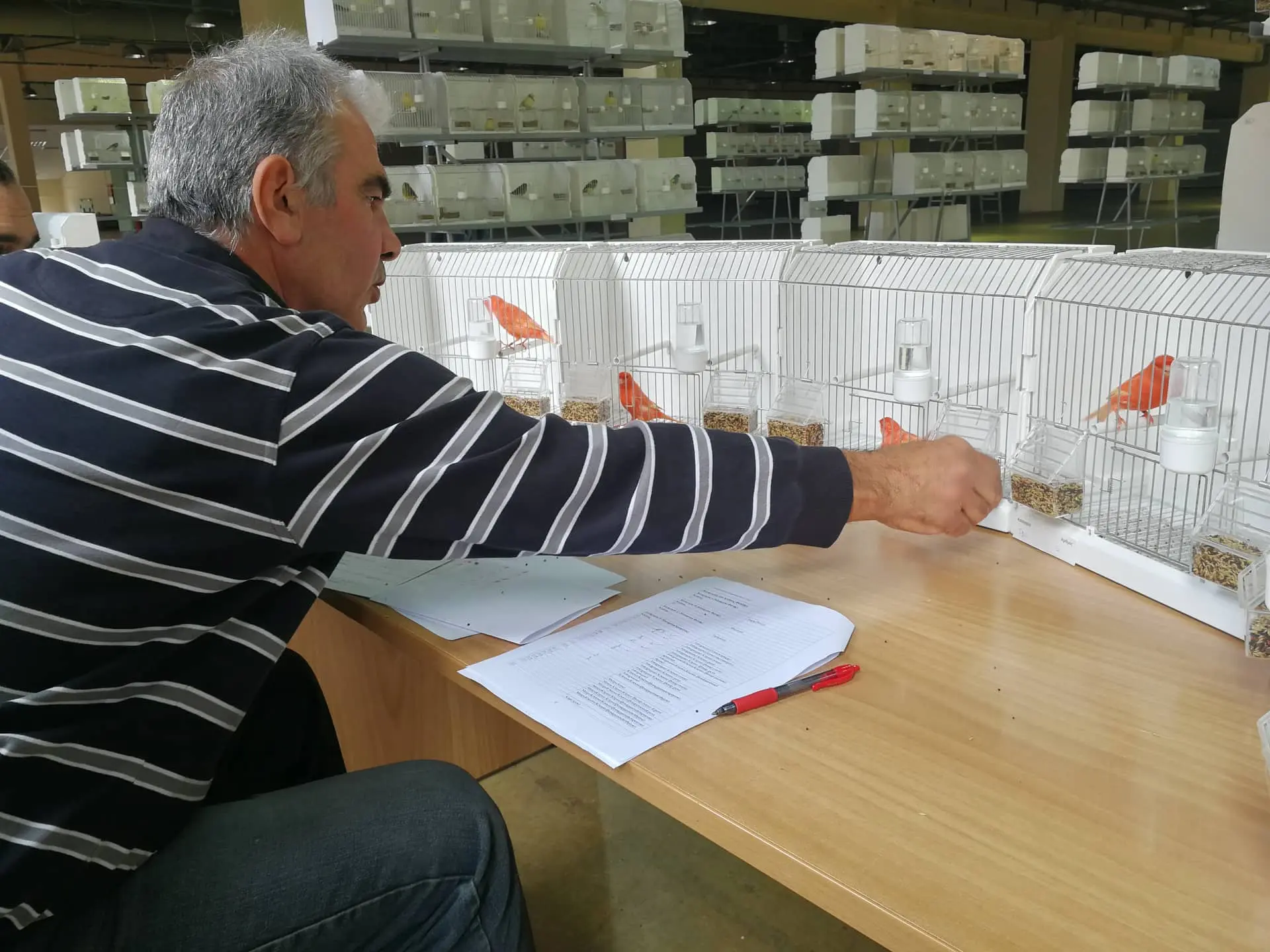 Συνημμένη εικόνα 92588