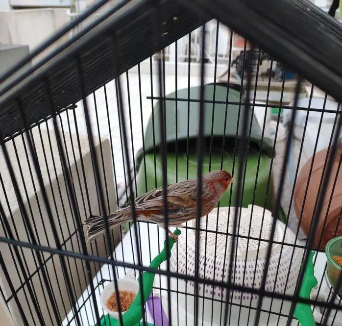 Συνημμένη εικόνα 92766