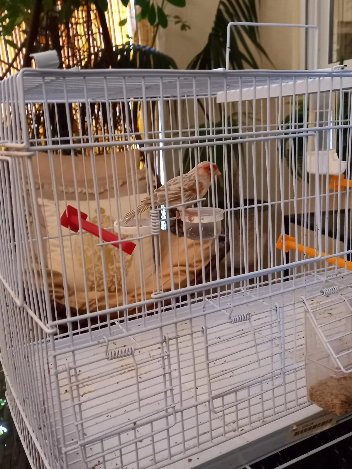 Συνημμένη εικόνα 93014