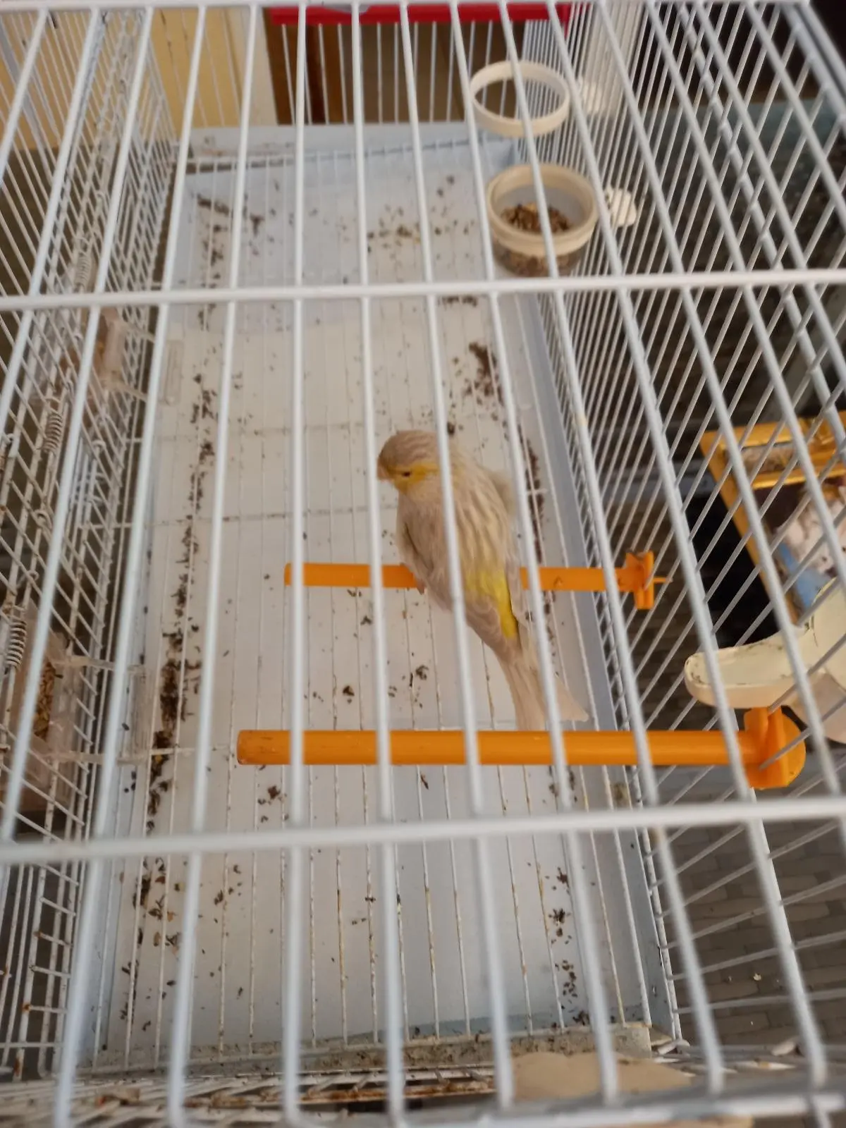 Συνημμένη εικόνα 93029