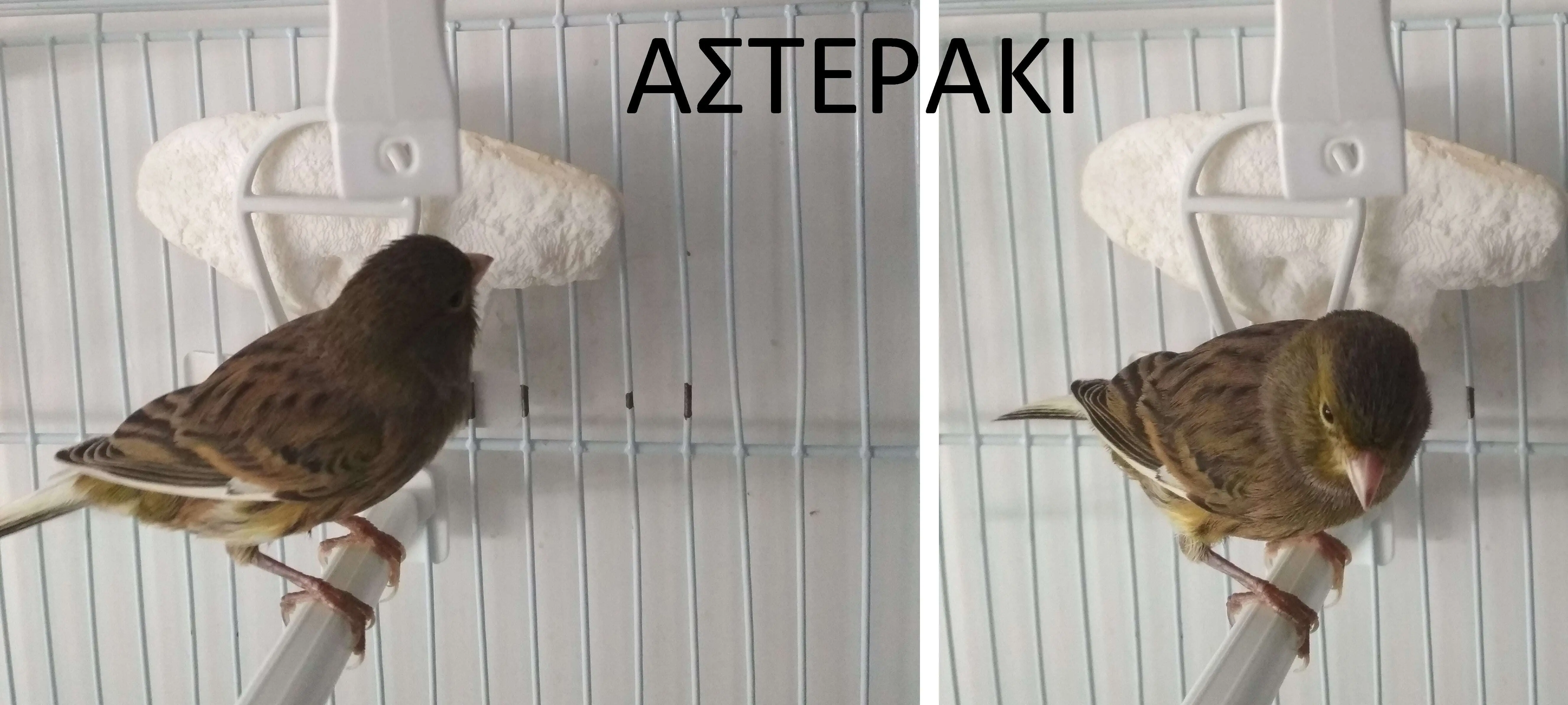 Συνημμένη εικόνα 93142