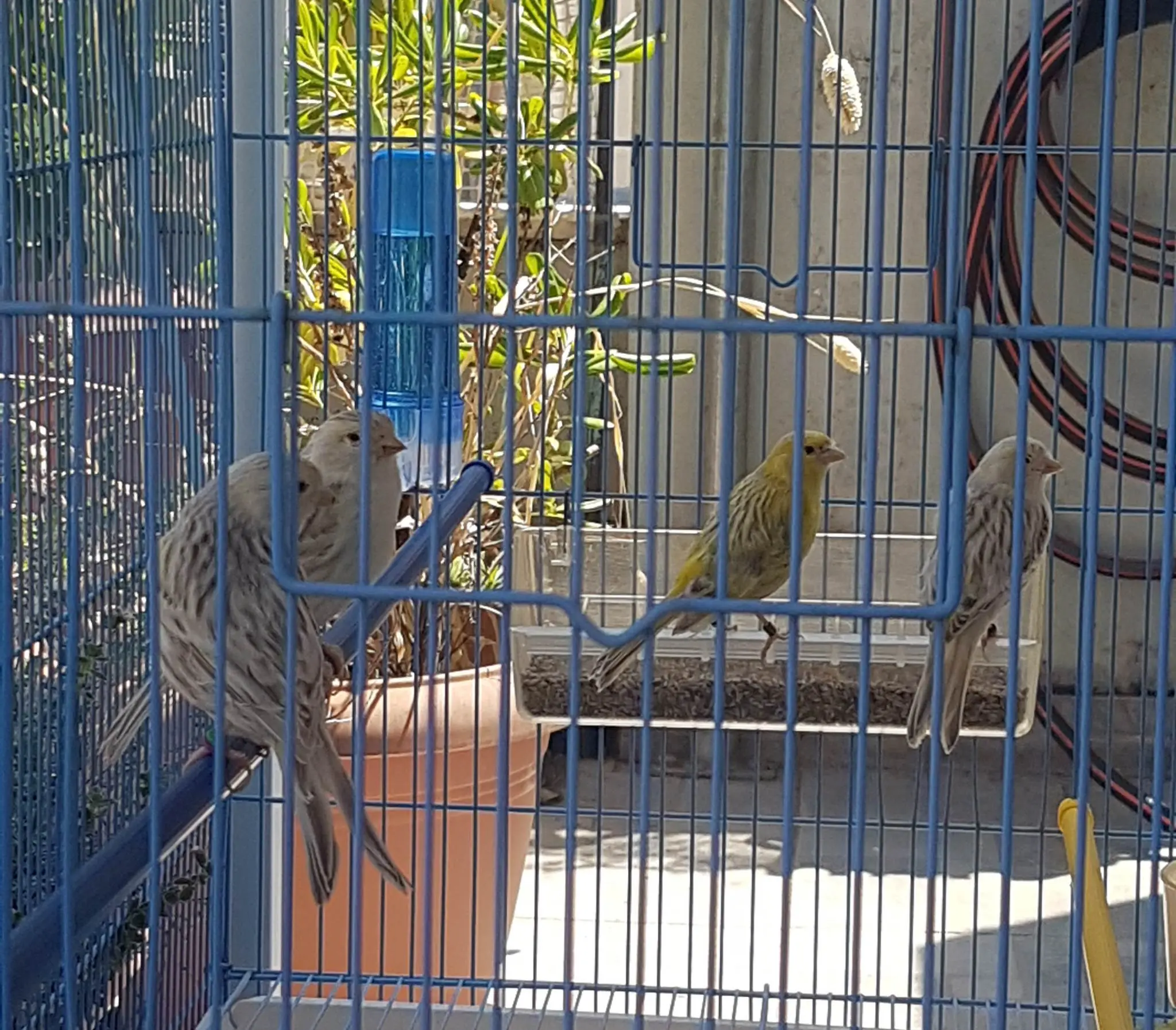 Συνημμένη εικόνα 93441