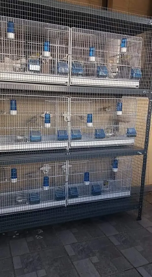 Συνημμένη εικόνα 93442