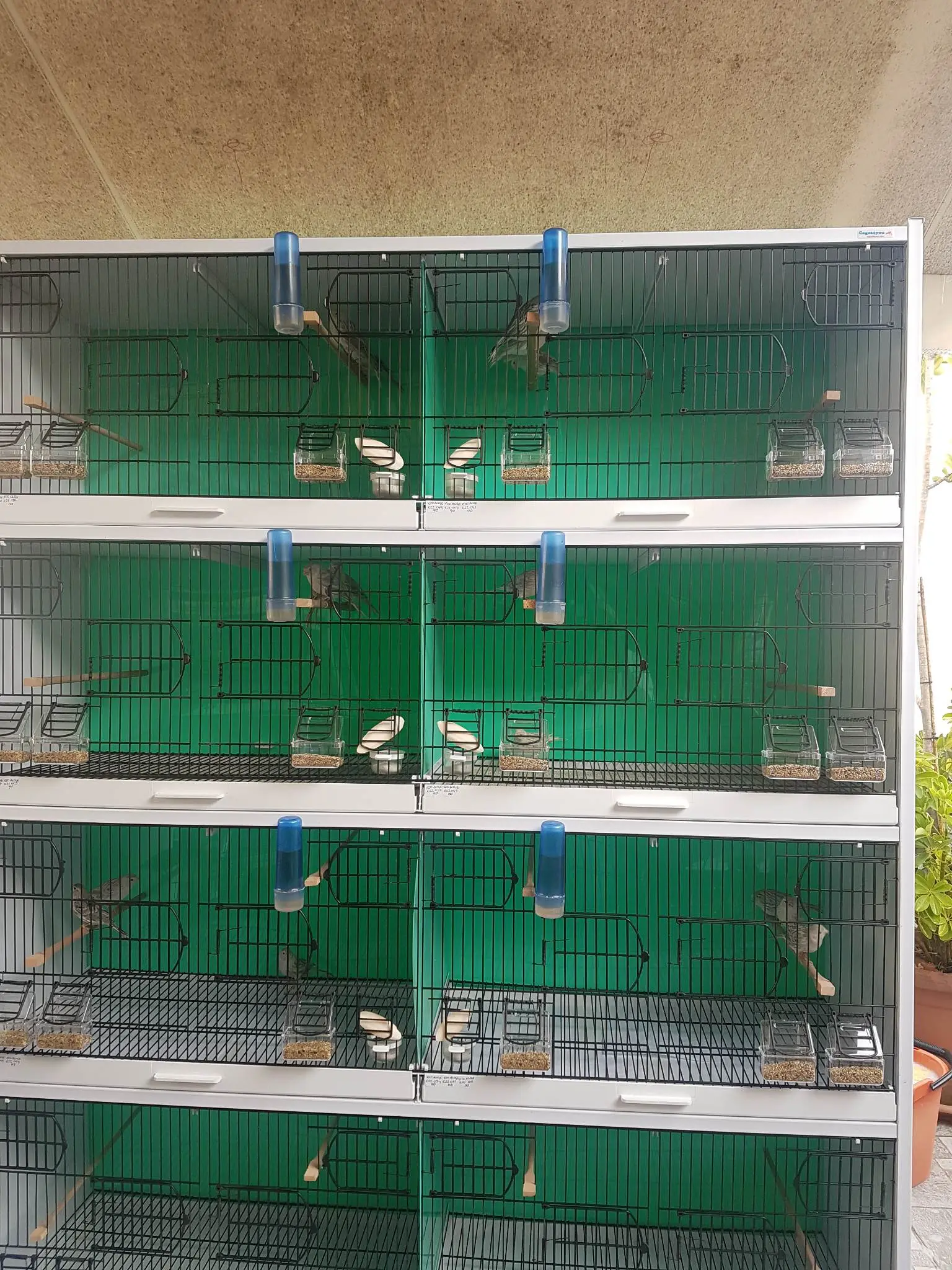 Συνημμένη εικόνα 93443