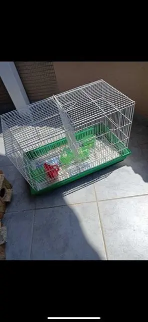 Συνημμένη εικόνα 93858