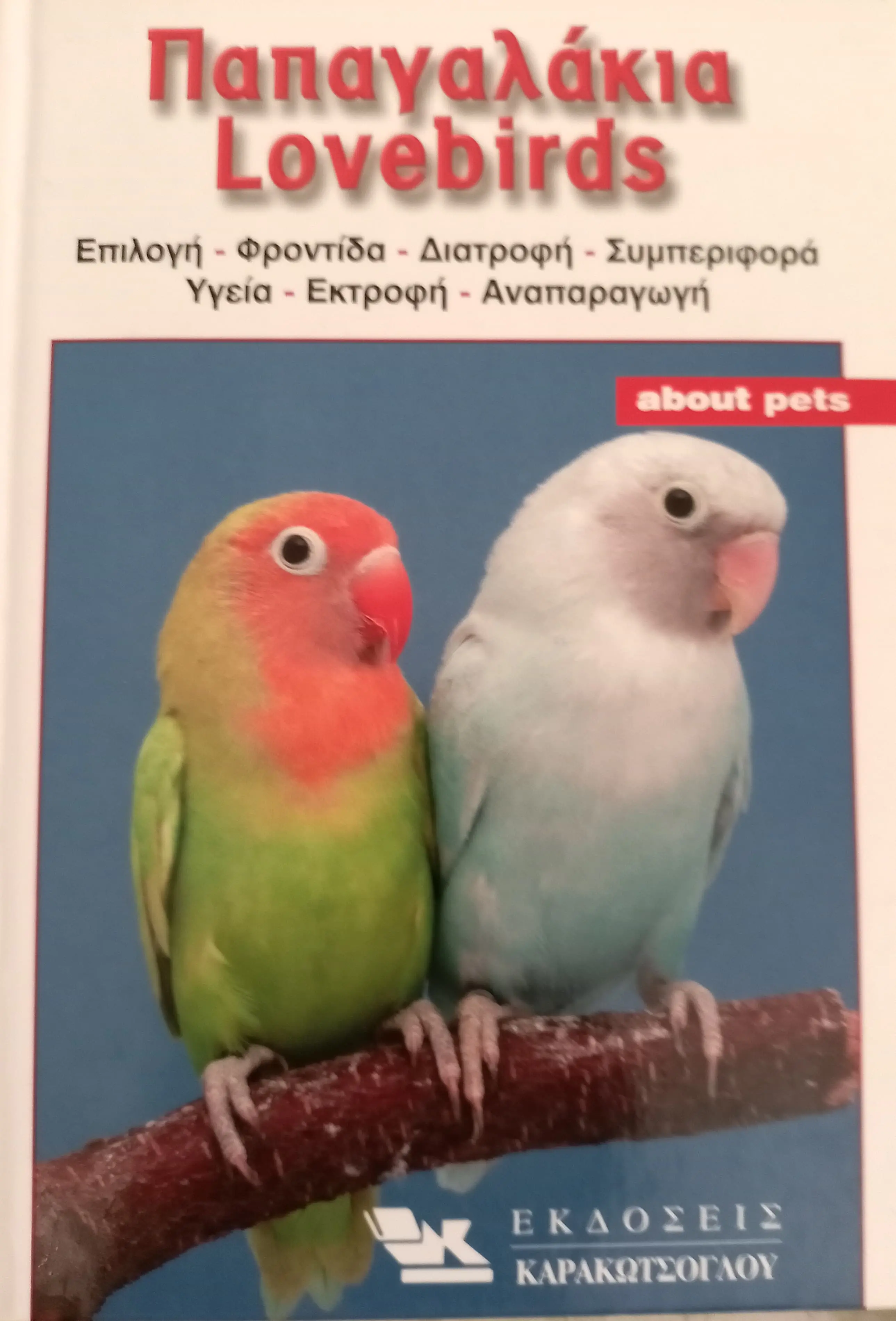 Συνημμένη εικόνα 93948