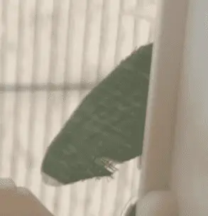Συνημμένη εικόνα 94116