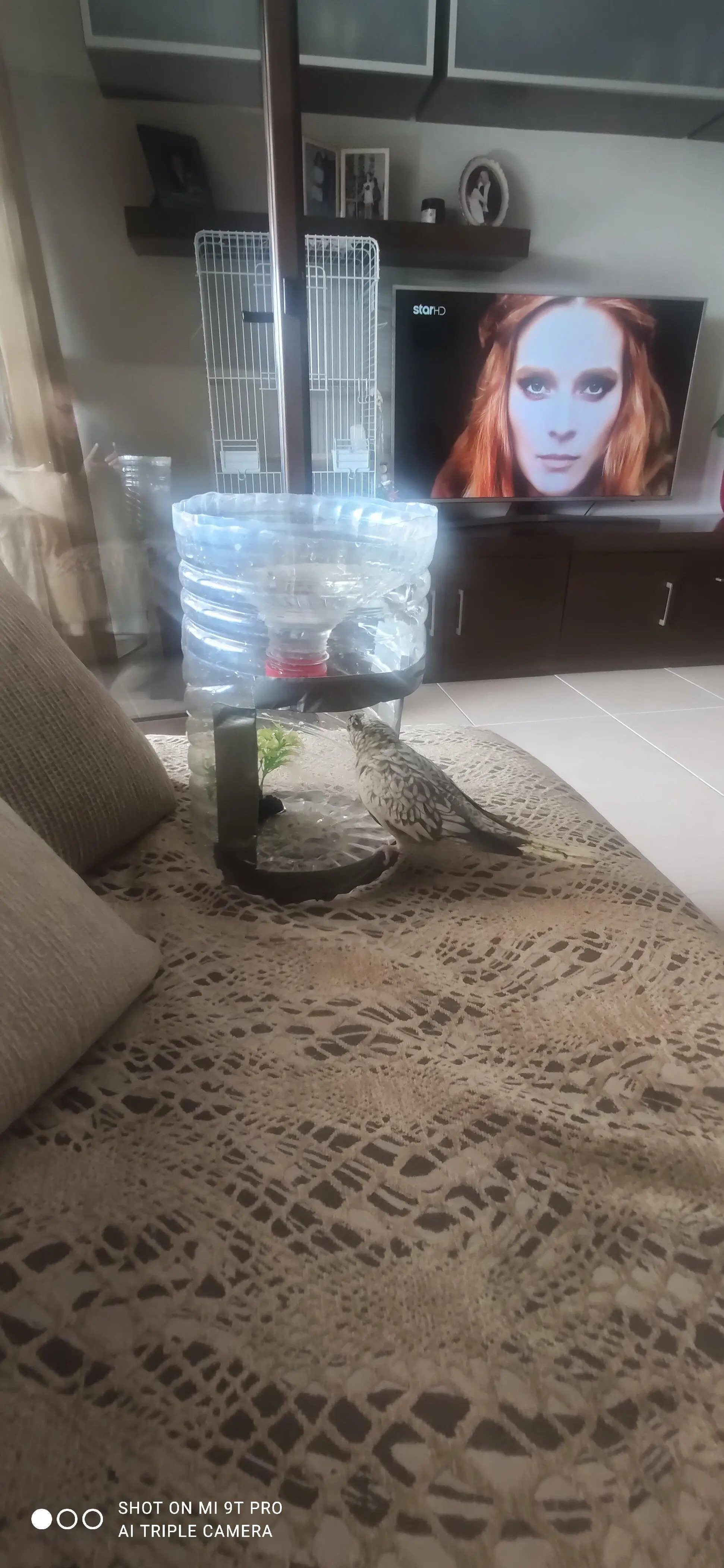 Συνημμένη εικόνα 94165
