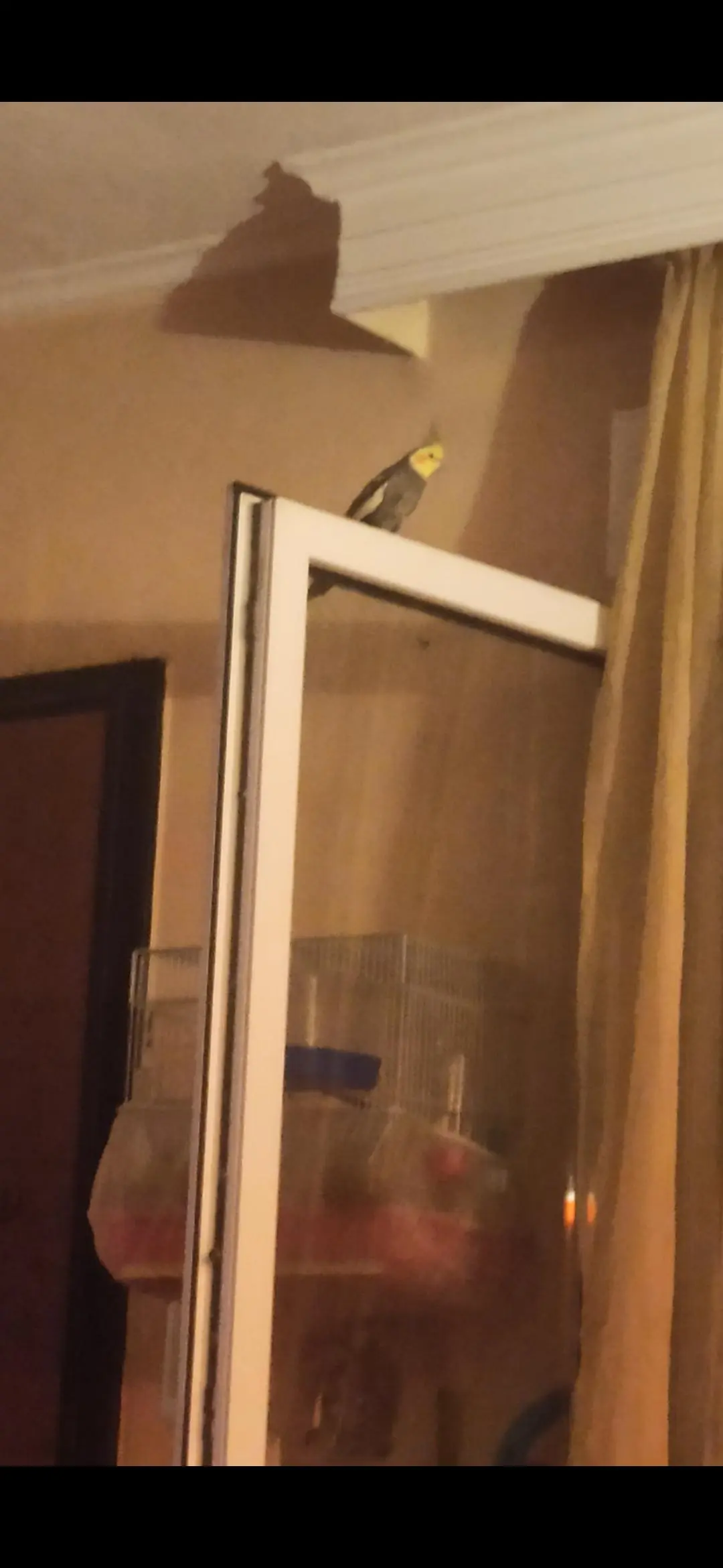 Συνημμένη εικόνα 94582