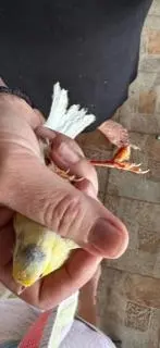 Συνημμένη εικόνα 94626