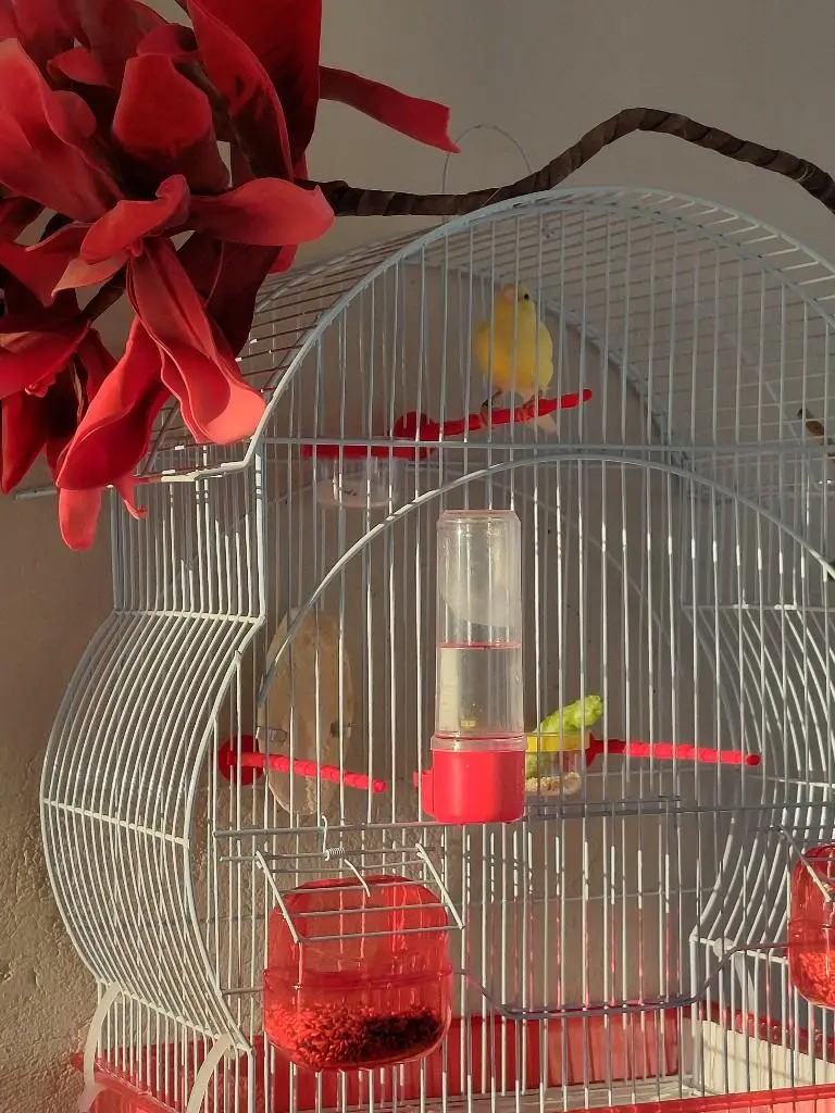 Συνημμένη εικόνα 94702