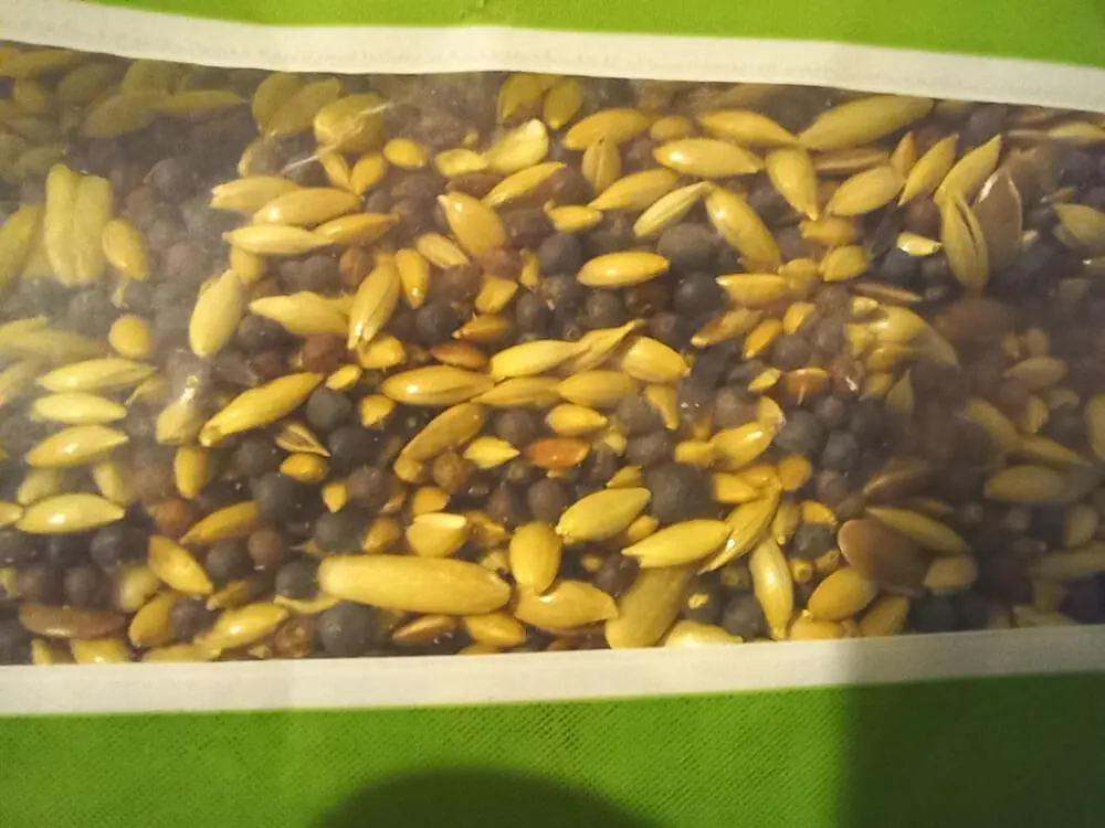 Συνημμένη εικόνα 94707
