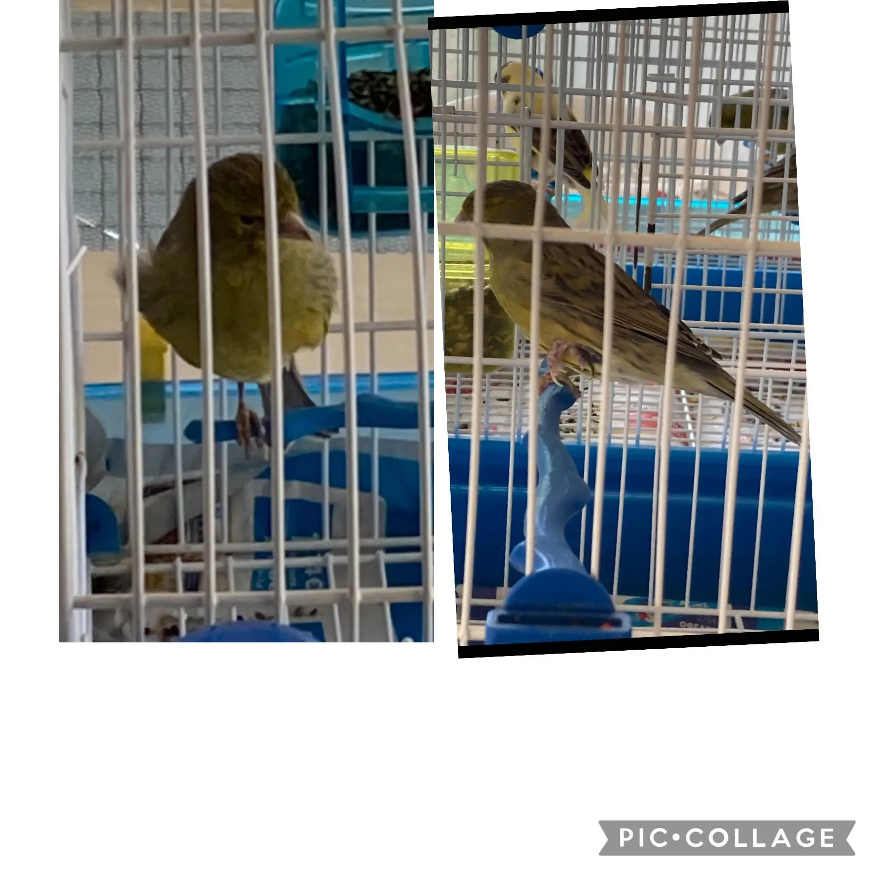 Συνημμένη εικόνα 94930