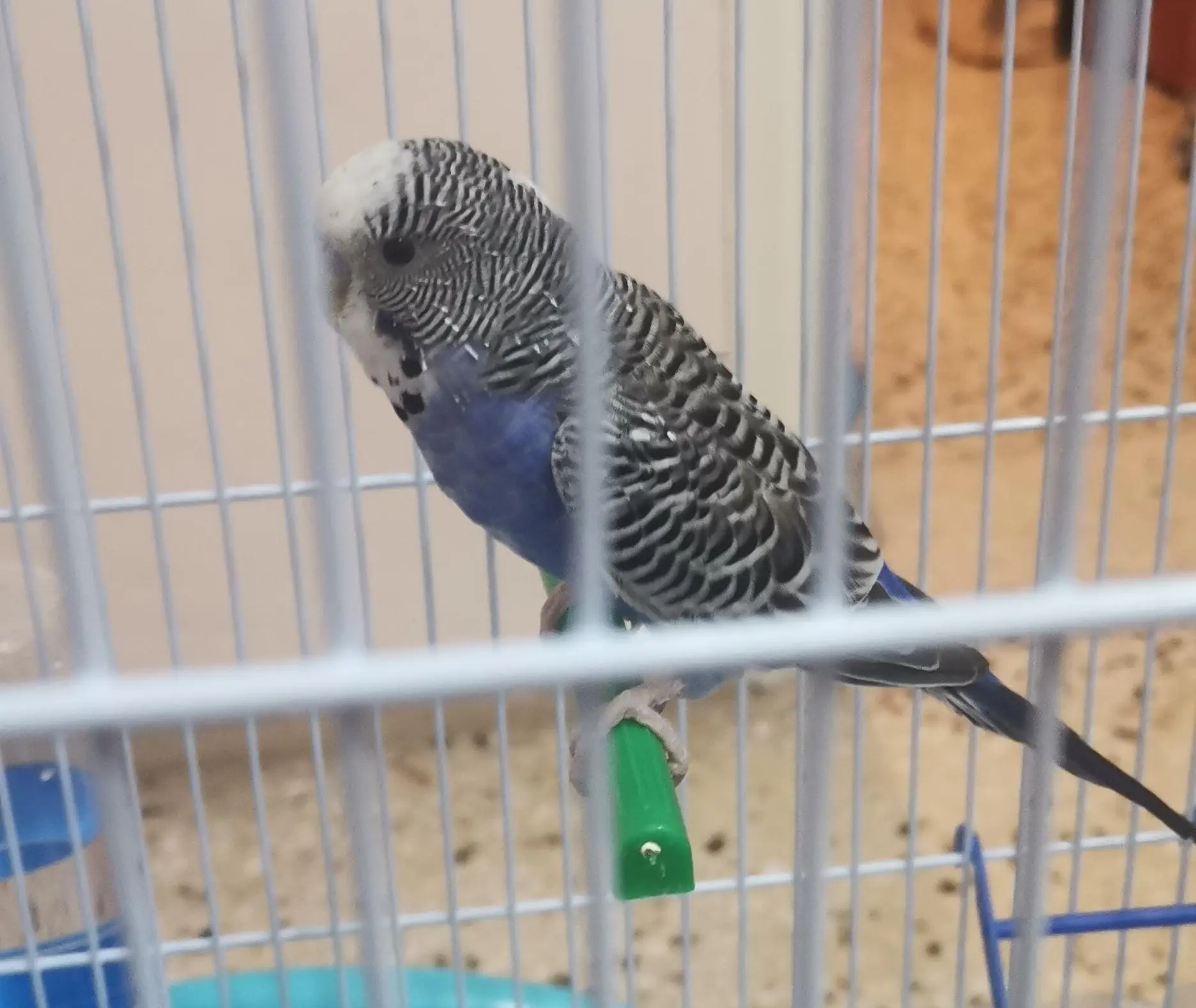 Συνημμένη εικόνα 95085