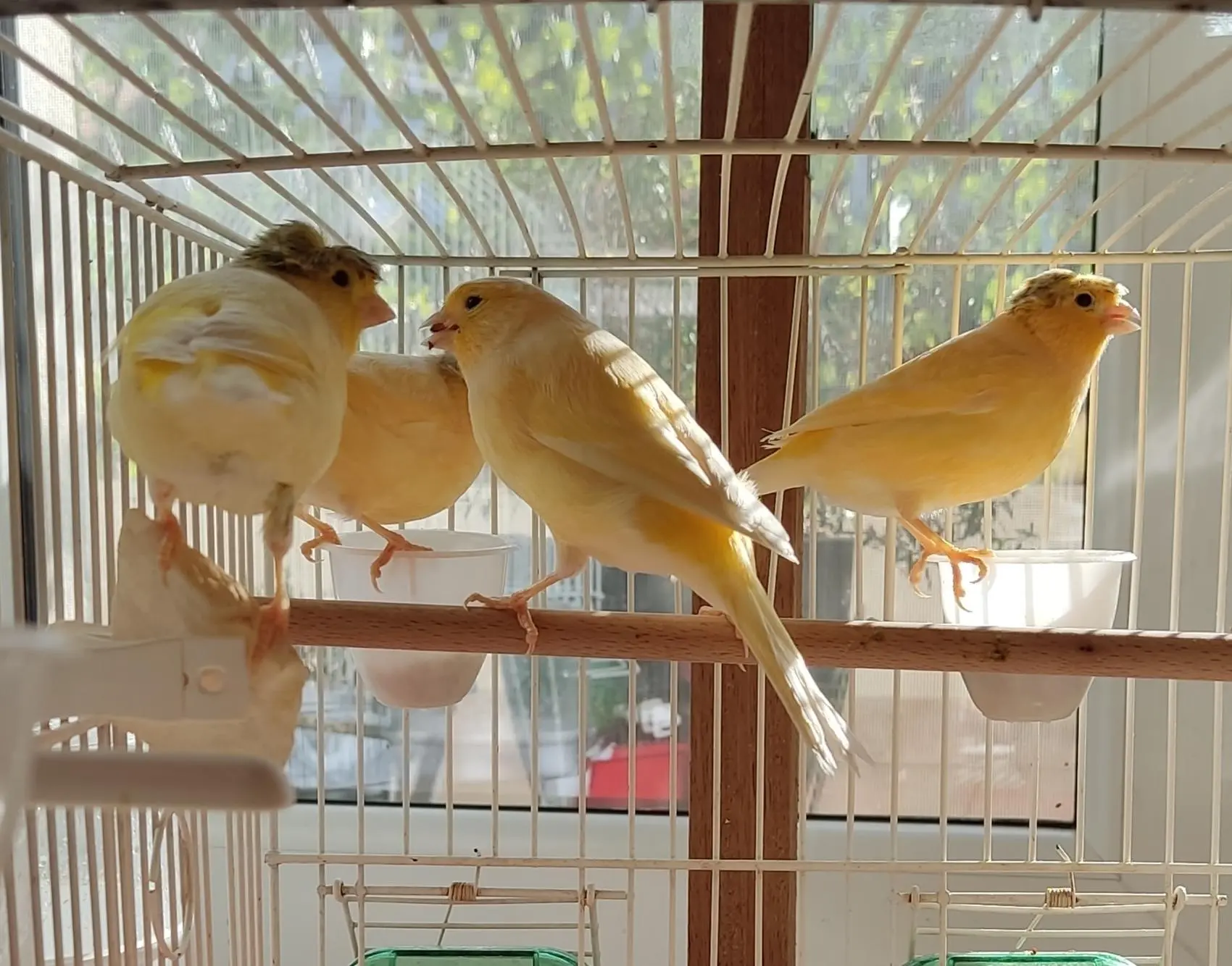 Συνημμένη εικόνα 95228