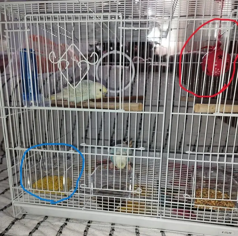Συνημμένη εικόνα 95484