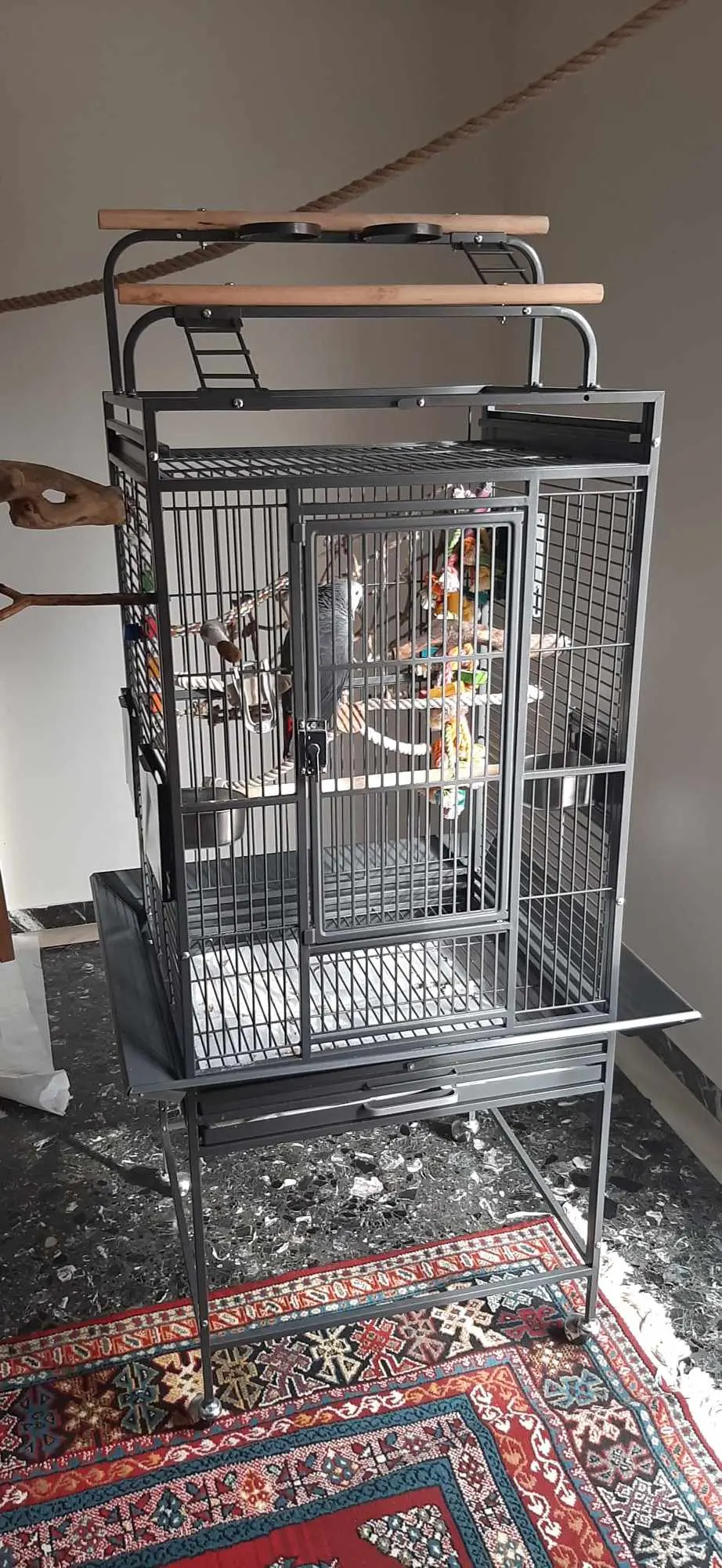 Συνημμένη εικόνα 95542