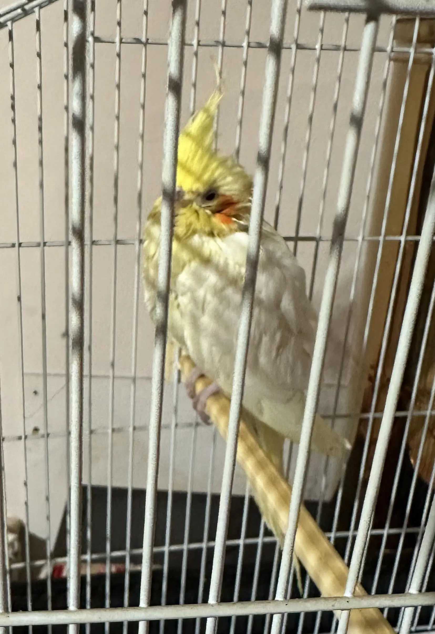 Συνημμένη εικόνα 95832