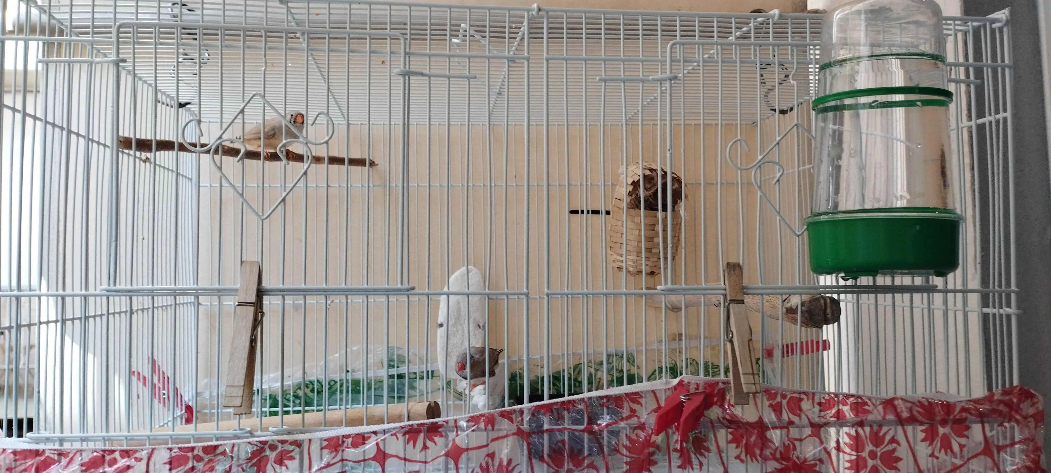 Συνημμένη εικόνα 96084