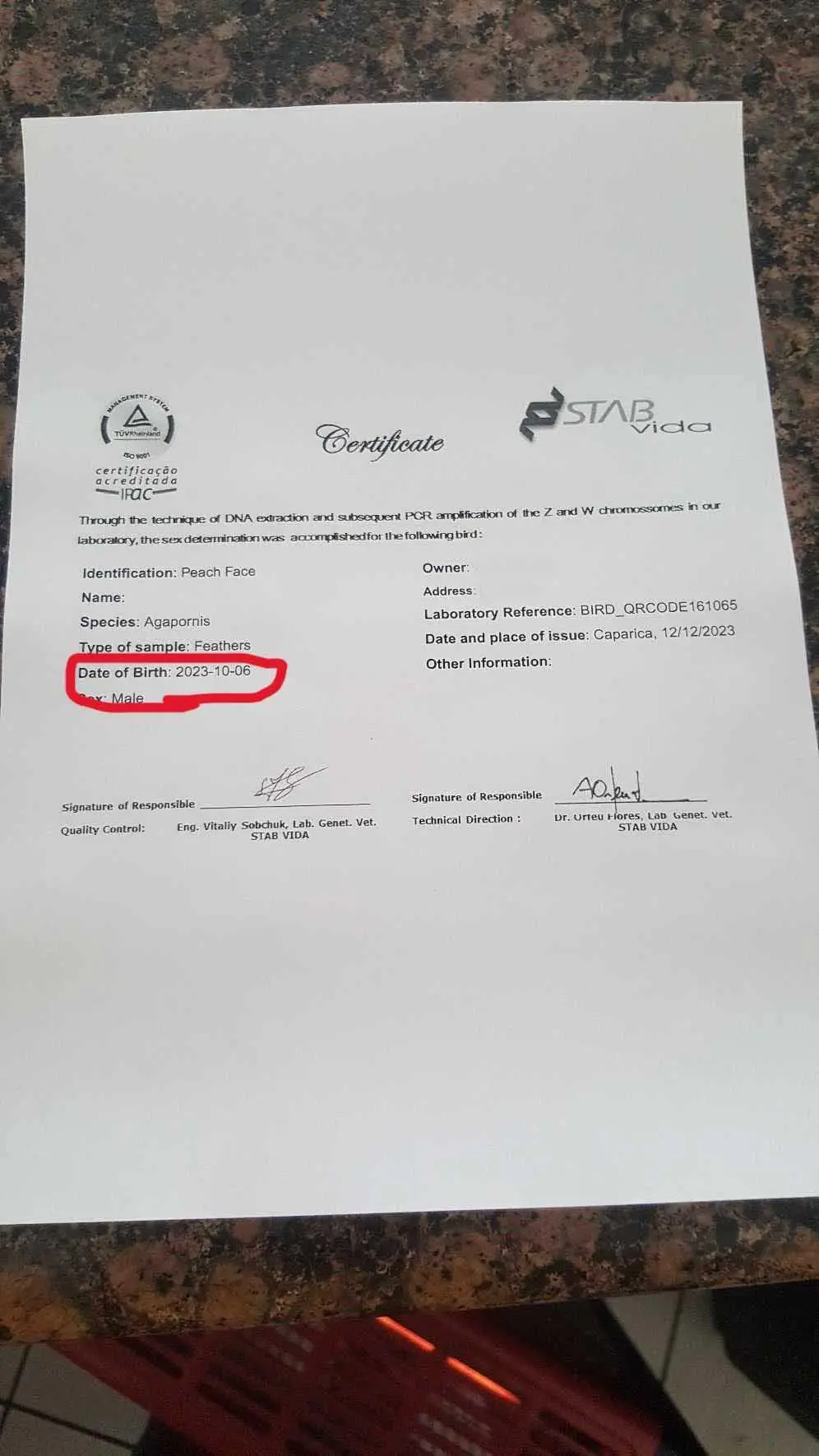 Συνημμένη εικόνα 96398