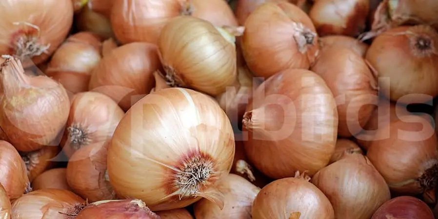 Συνημμένη εικόνα 96434