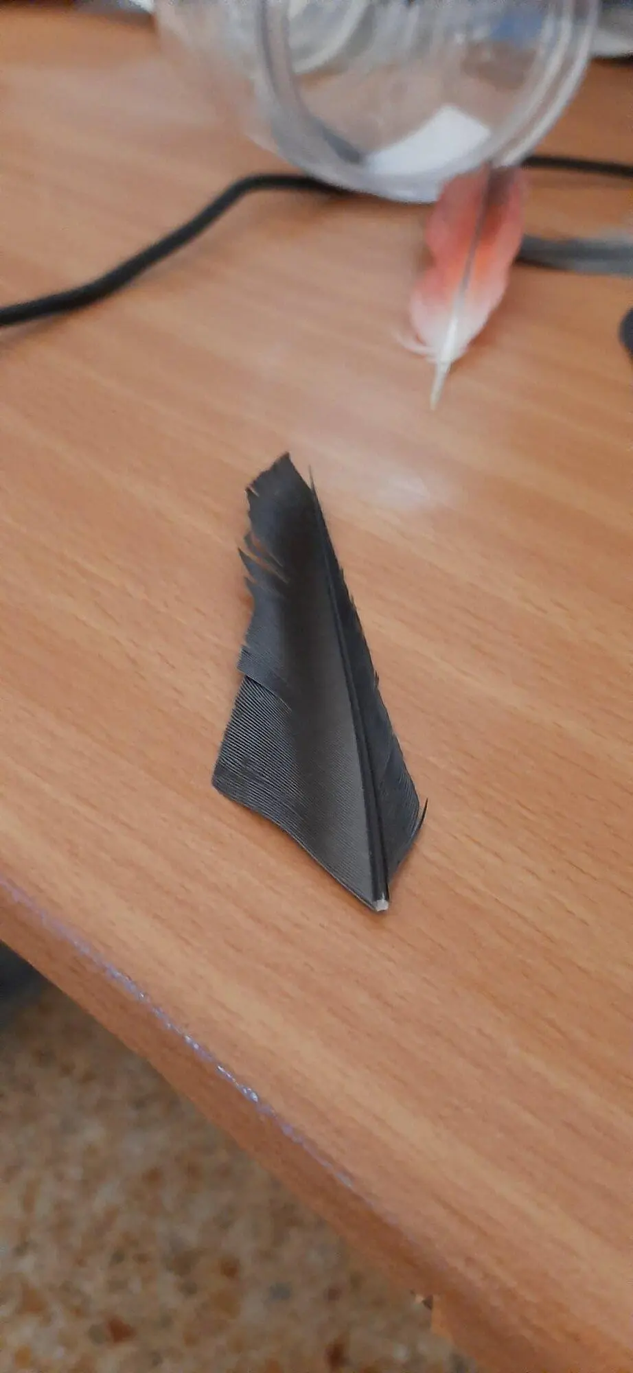 Συνημμένη εικόνα 96576