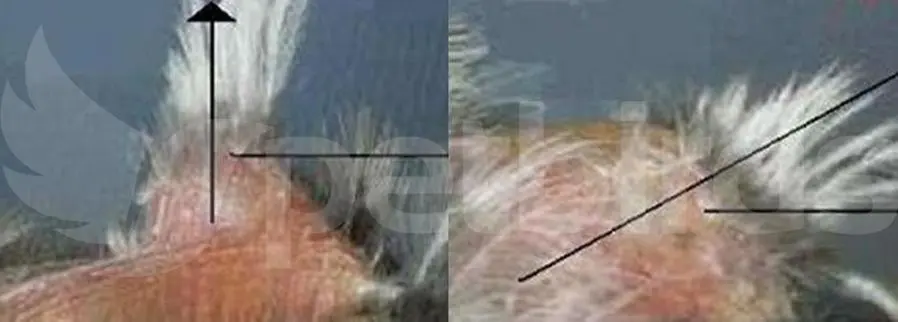 Συνημμένη εικόνα 96646