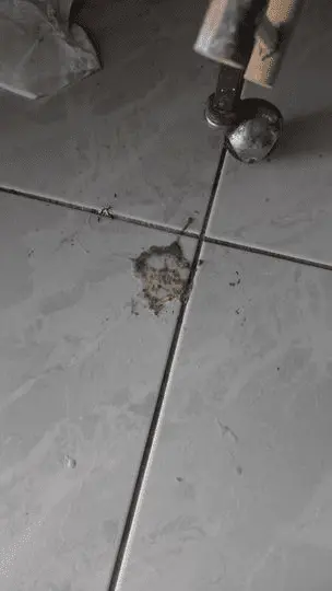 Συνημμένη εικόνα 96822