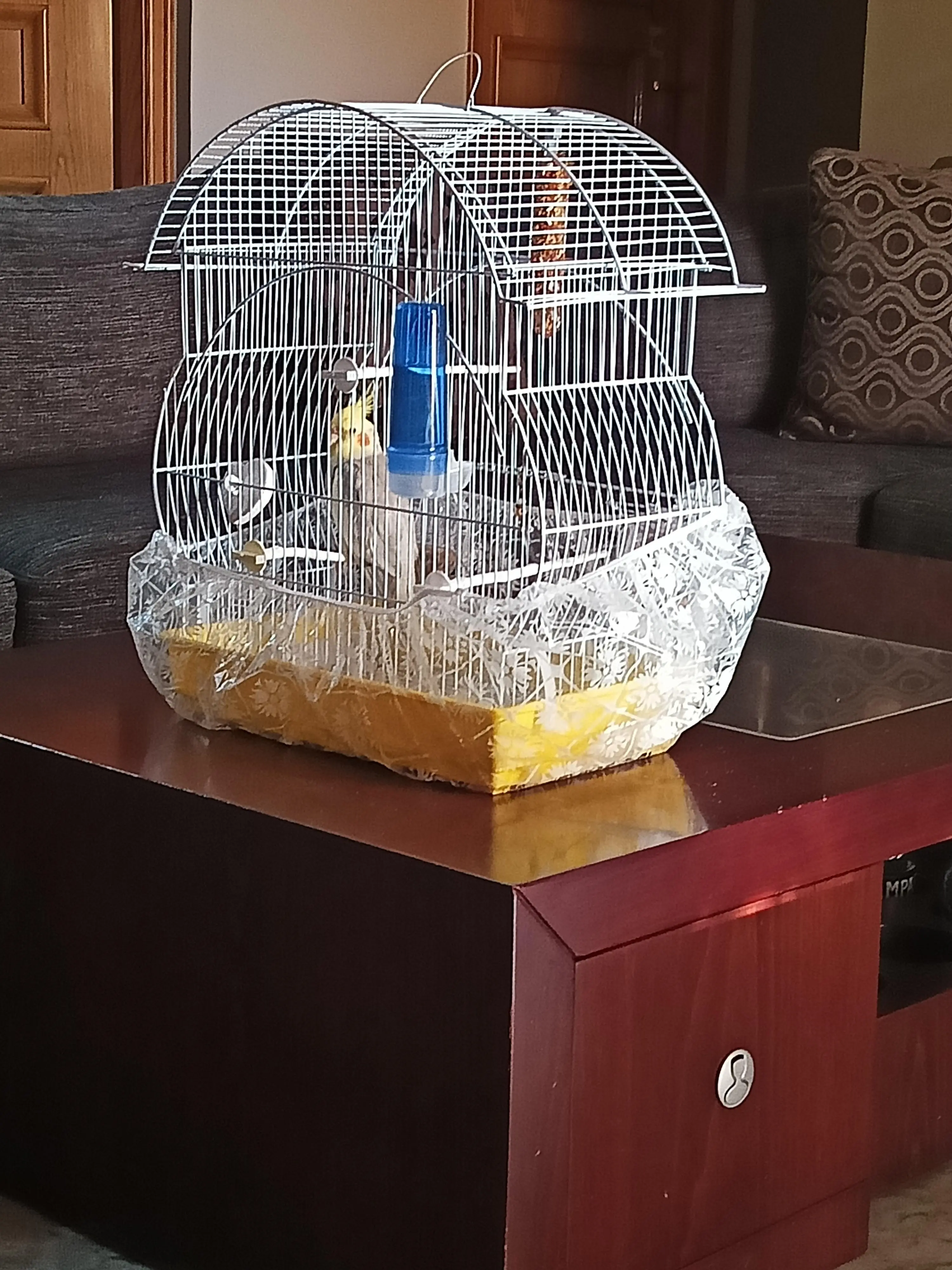 Συνημμένη εικόνα 96845