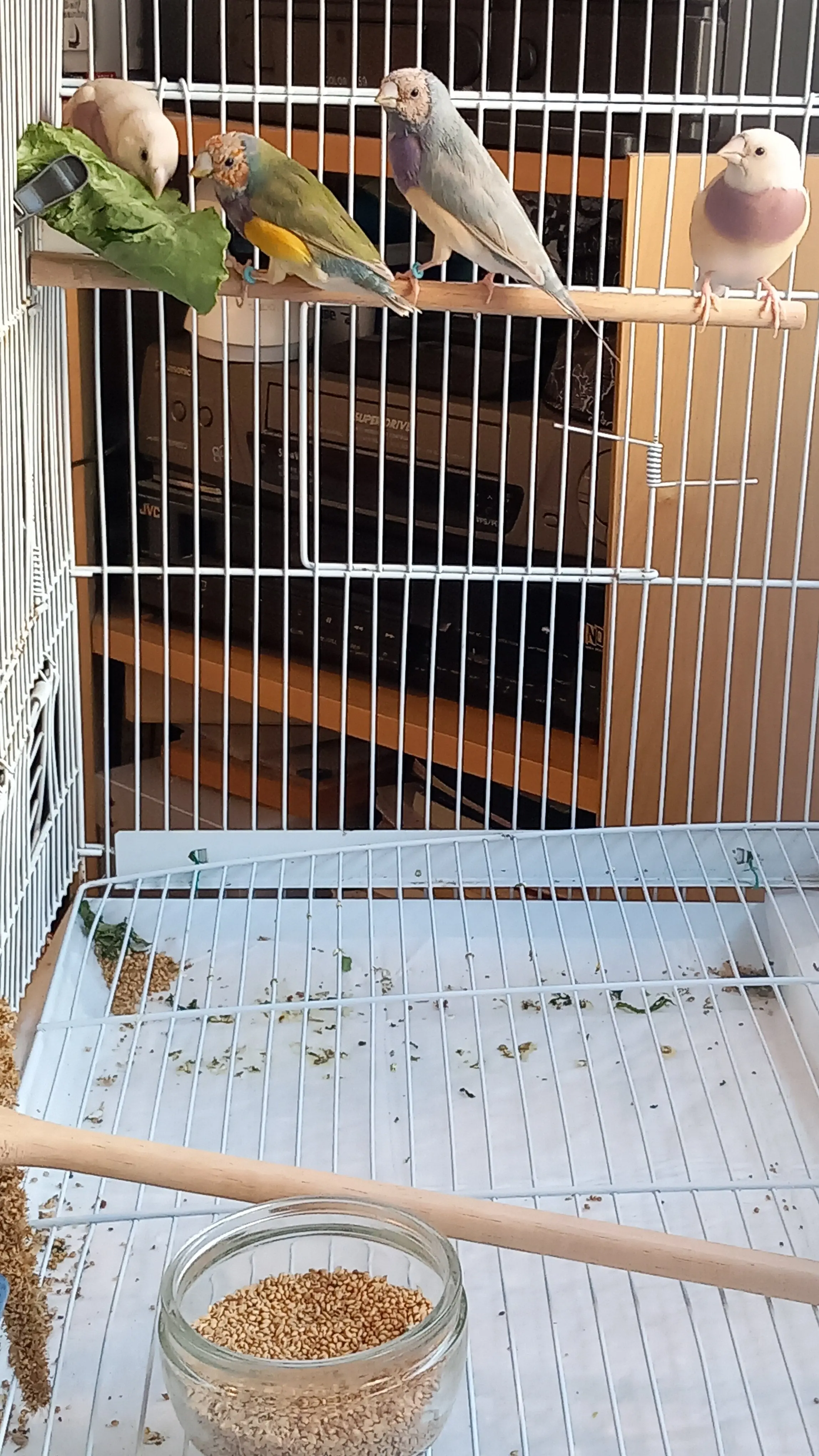 Συνημμένη εικόνα 96926