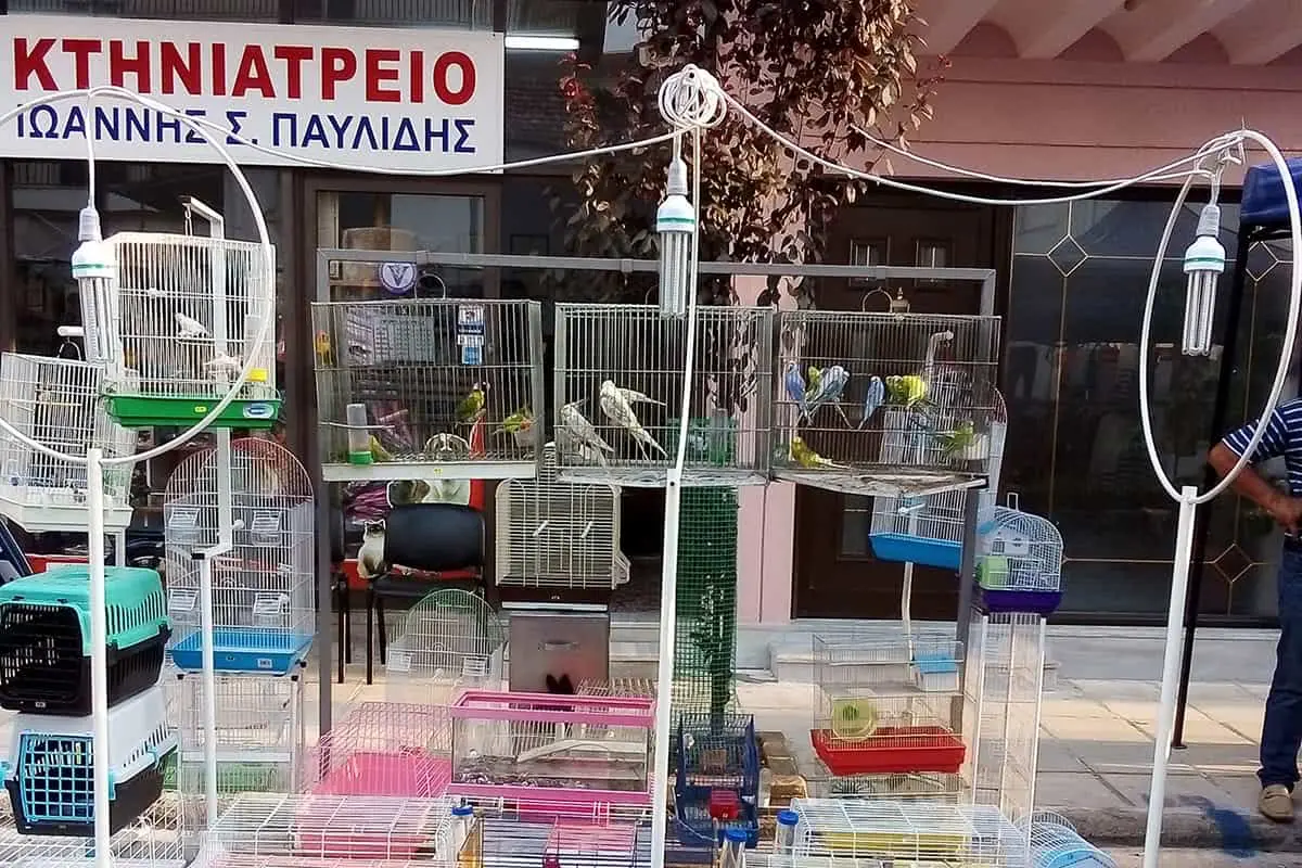 Συνημμένη εικόνα 97190