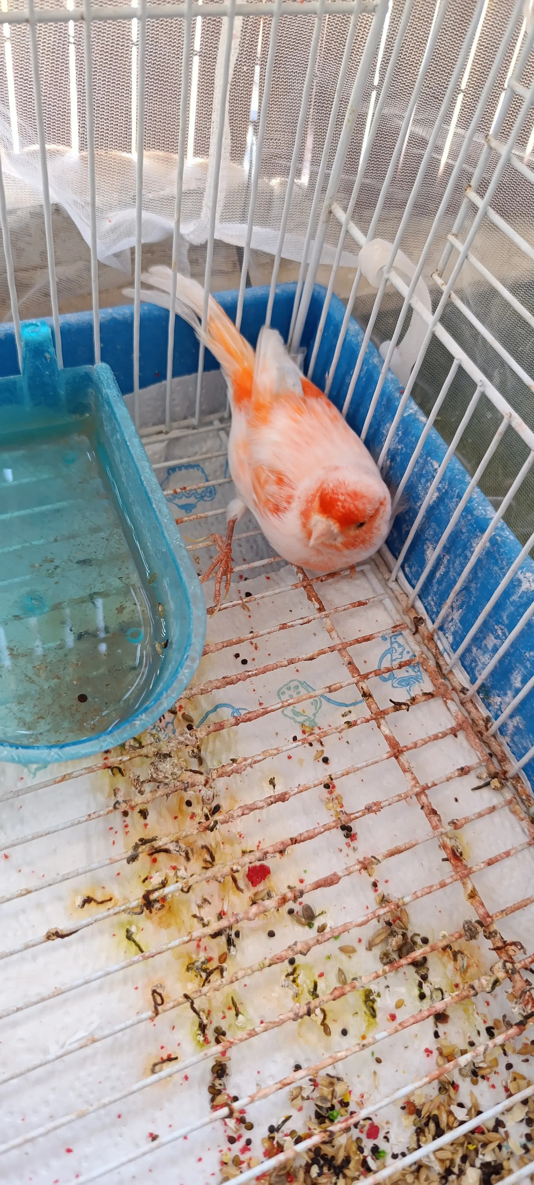 Συνημμένη εικόνα 97351