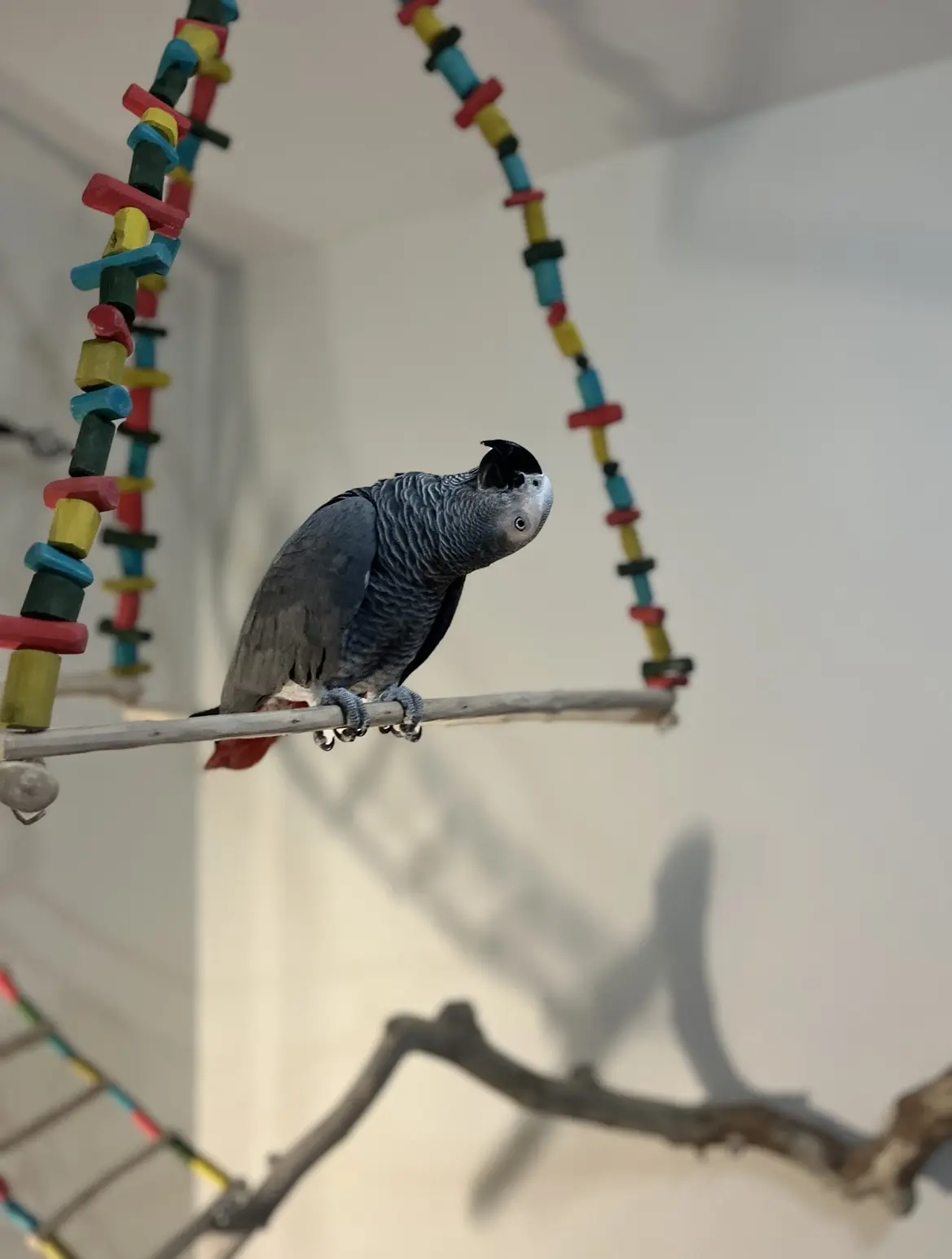 Συνημμένη εικόνα 97768