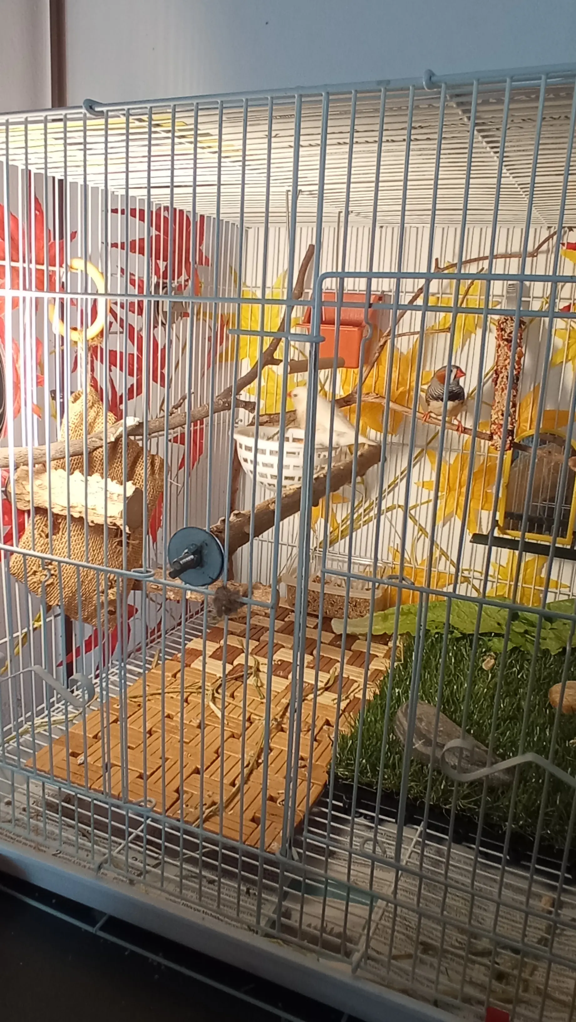 Συνημμένη εικόνα 97780