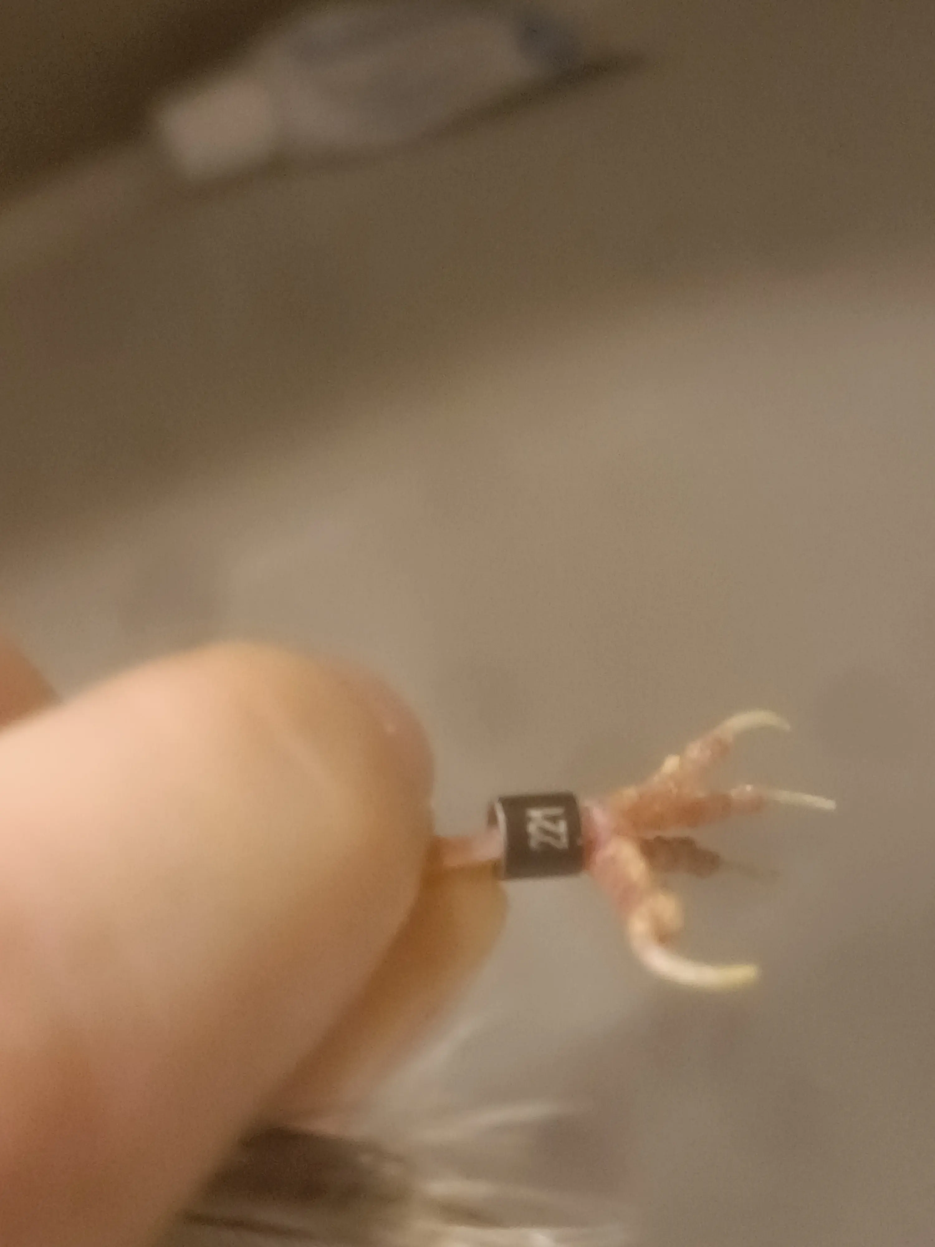 Συνημμένη εικόνα 98082