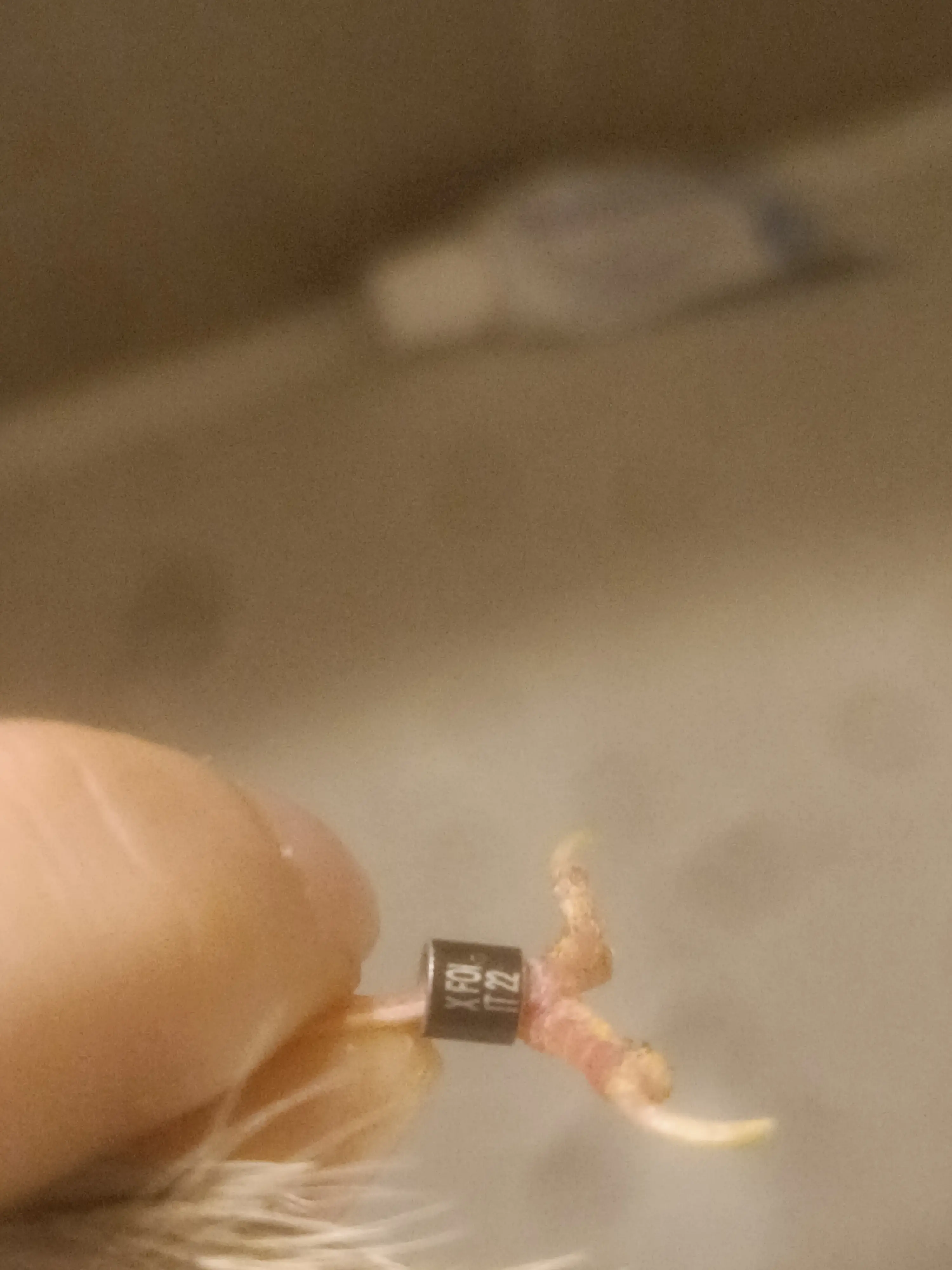 Συνημμένη εικόνα 98086