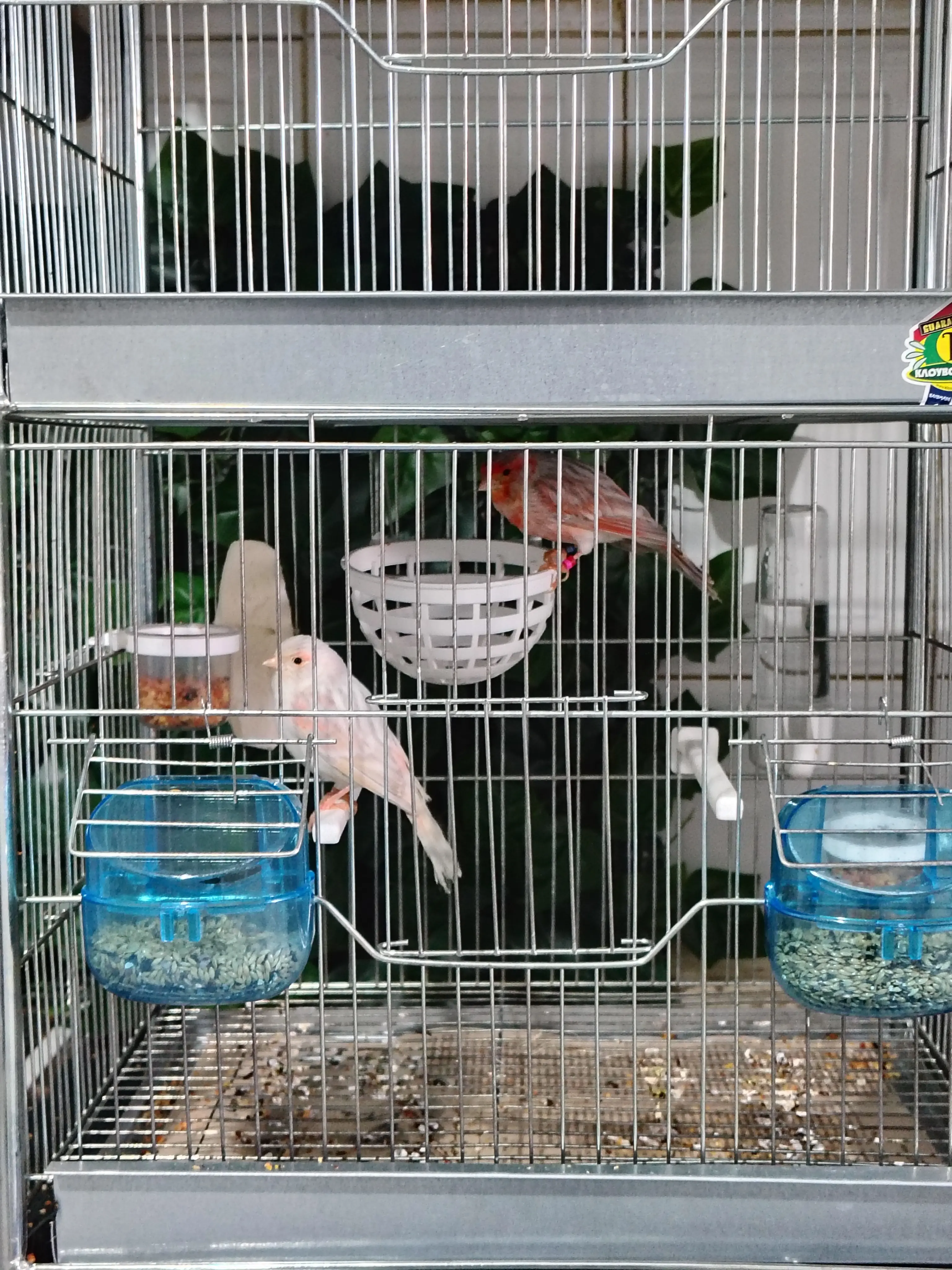 Συνημμένη εικόνα 98303