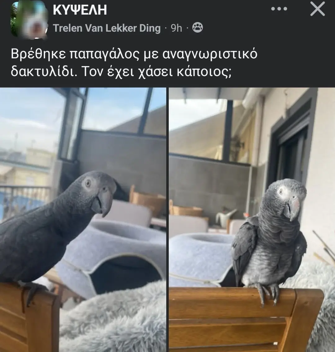 Συνημμένη εικόνα 98343