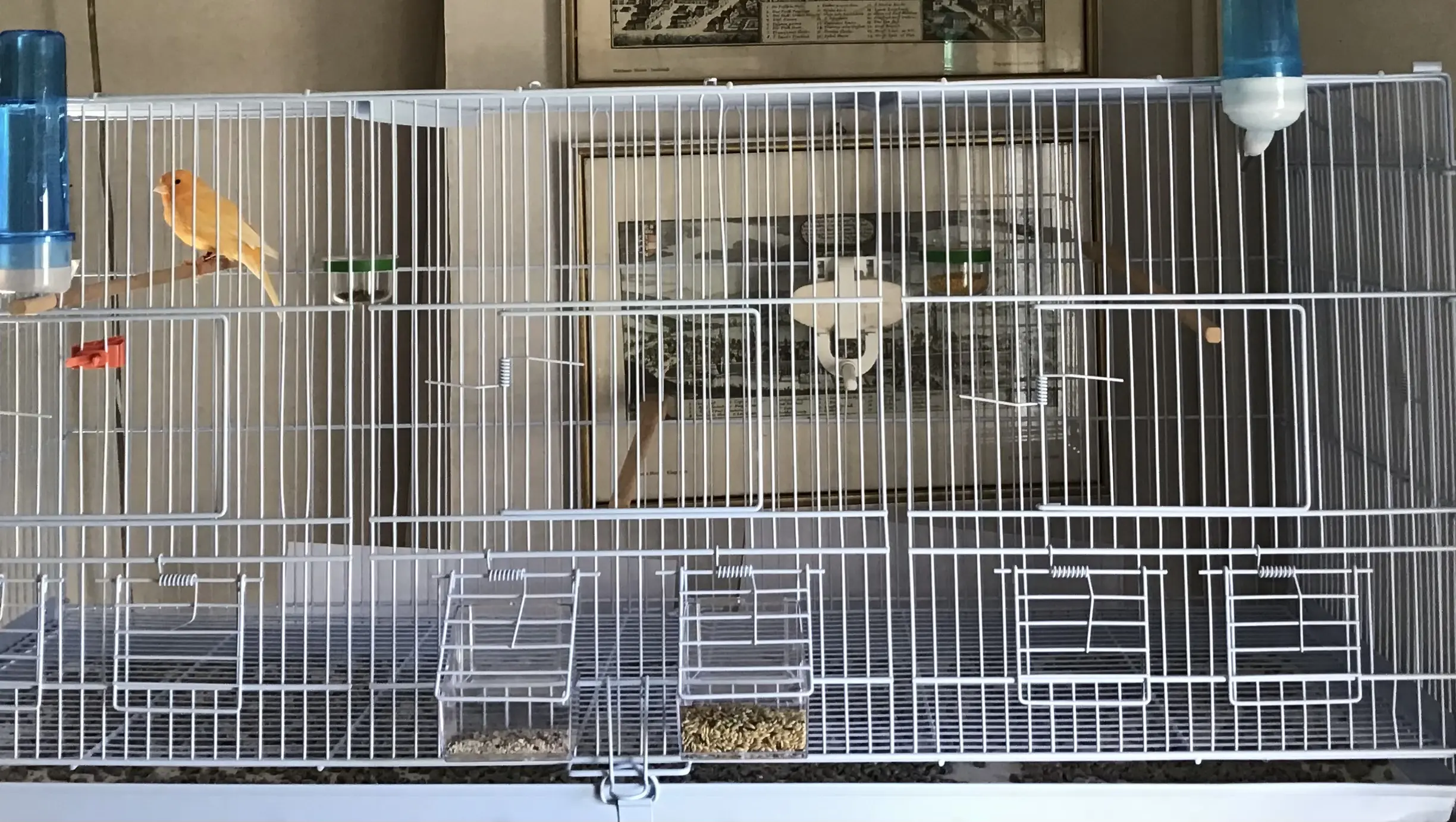 Συνημμένη εικόνα 98444