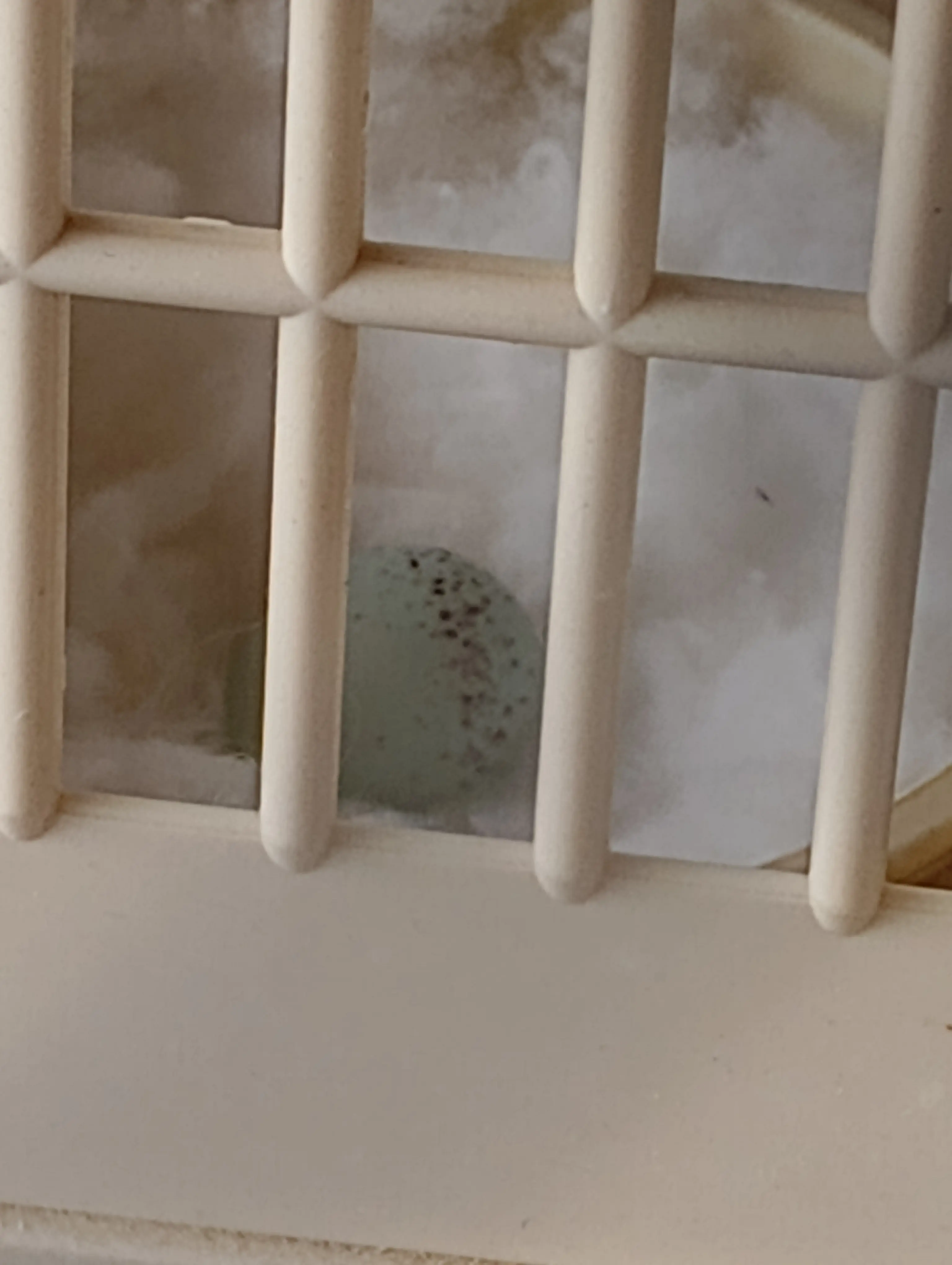 Συνημμένη εικόνα 98472