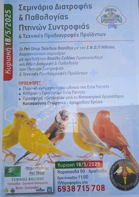 Συνημμένη εικόνα 98487