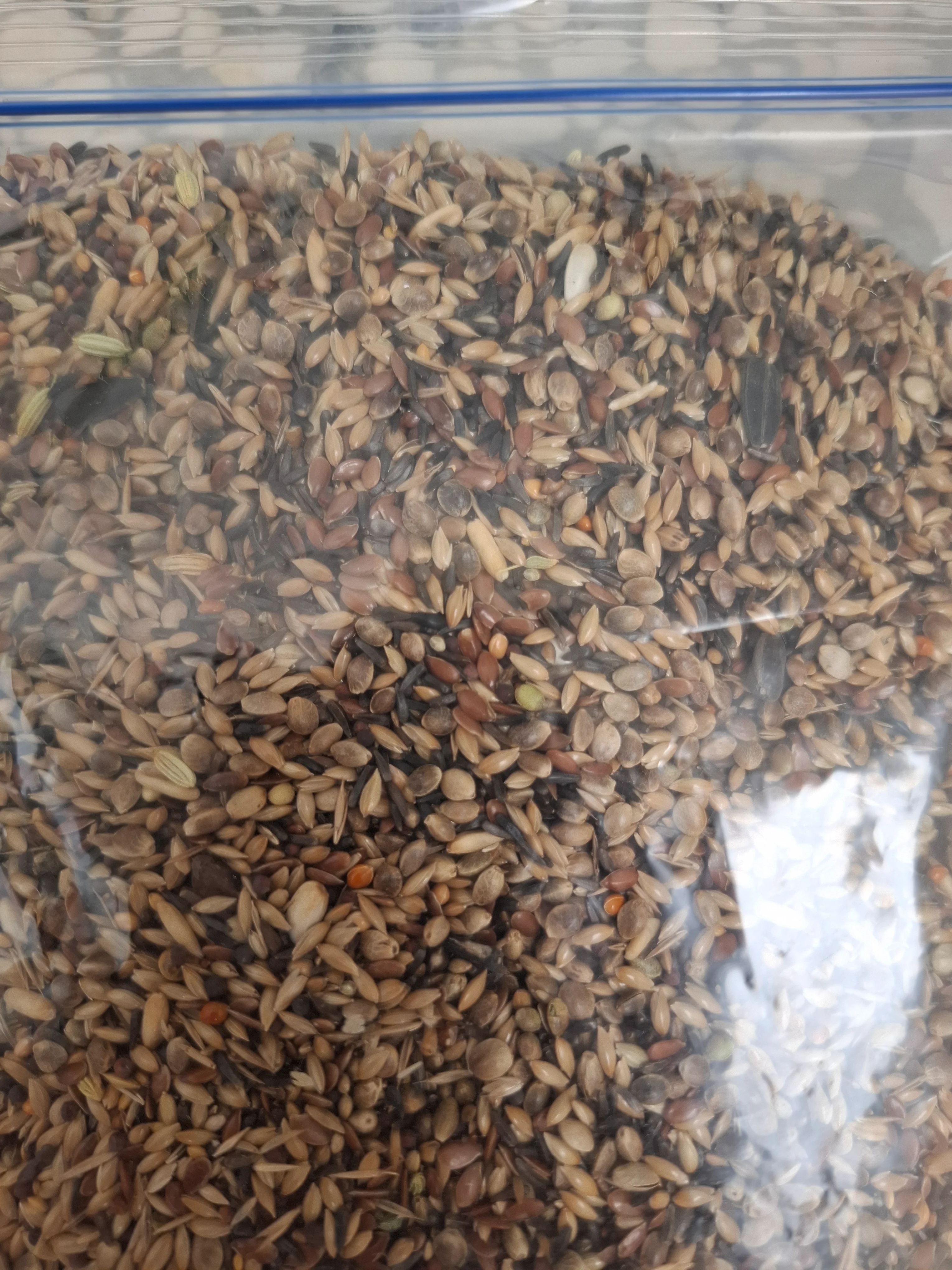 Συνημμένη εικόνα 98535