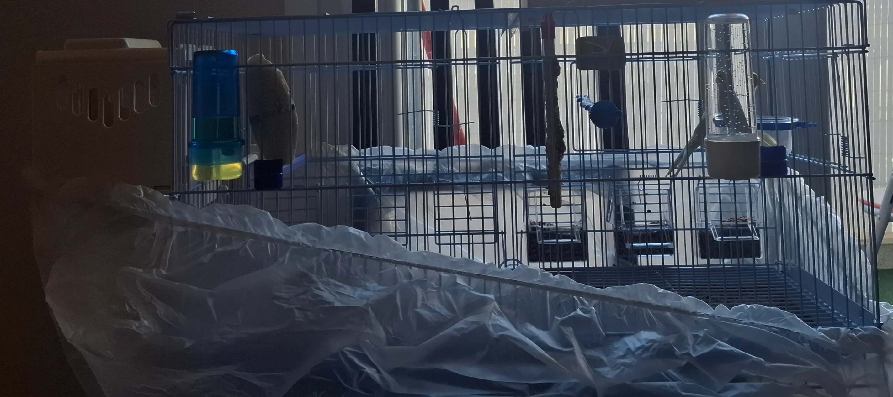 Συνημμένη εικόνα 98559